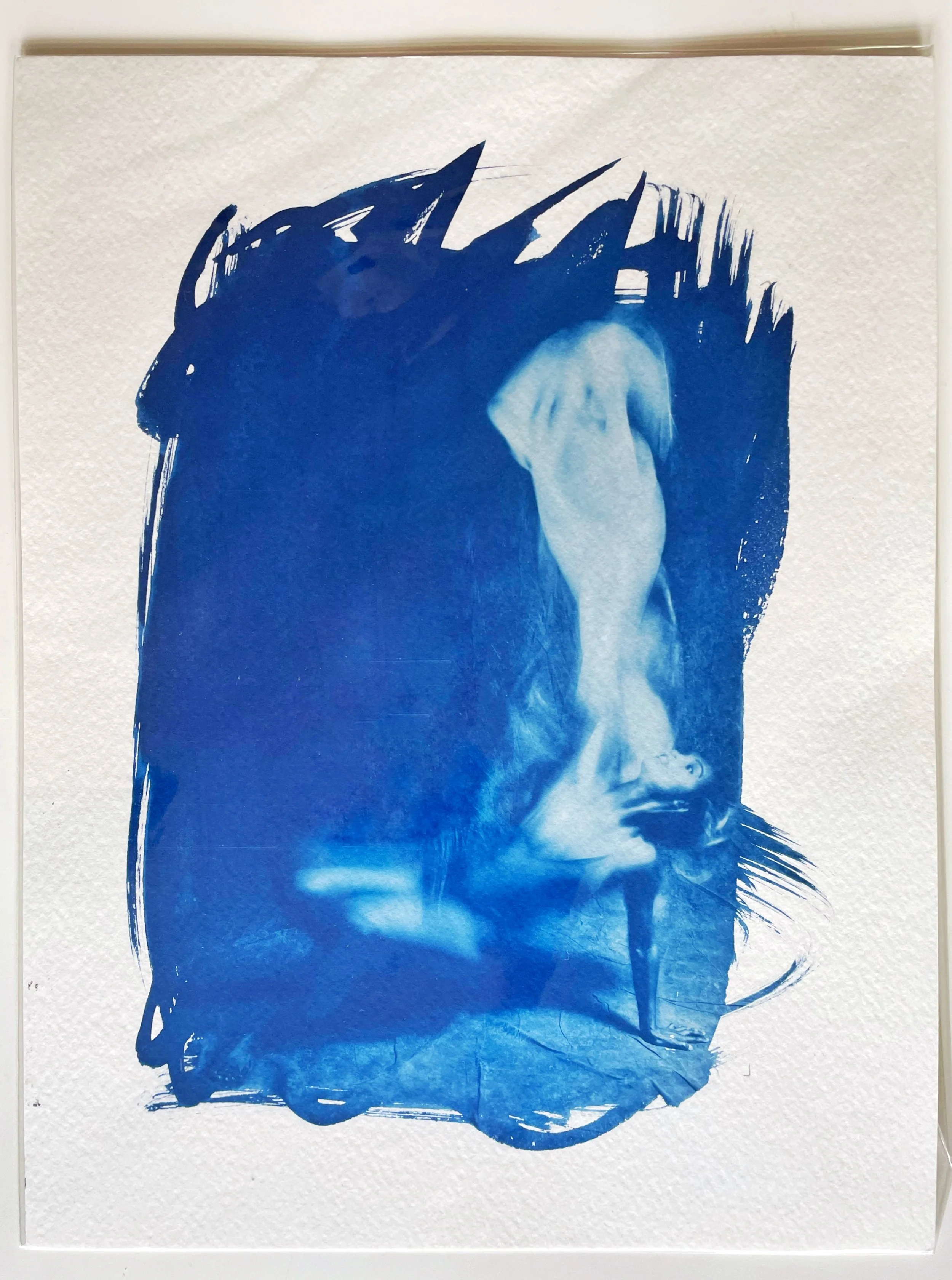Phoenix Series  I: Cyanotype Artist Proofs 8x11in