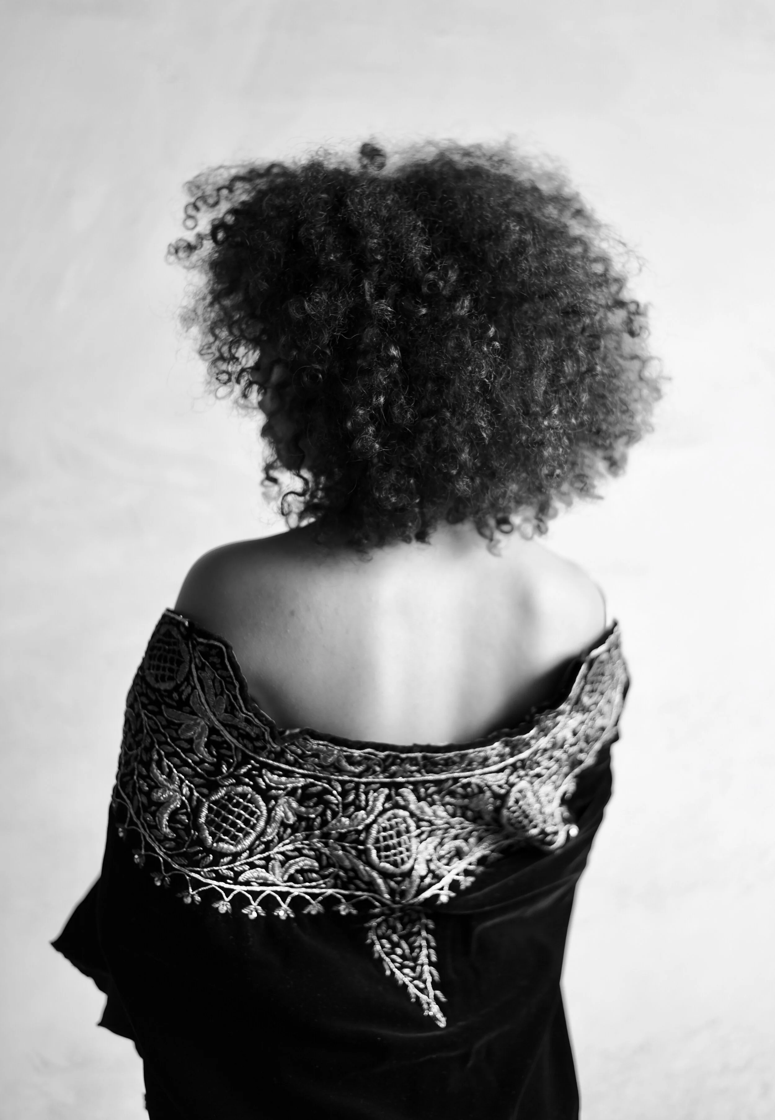 Modern Muse Series