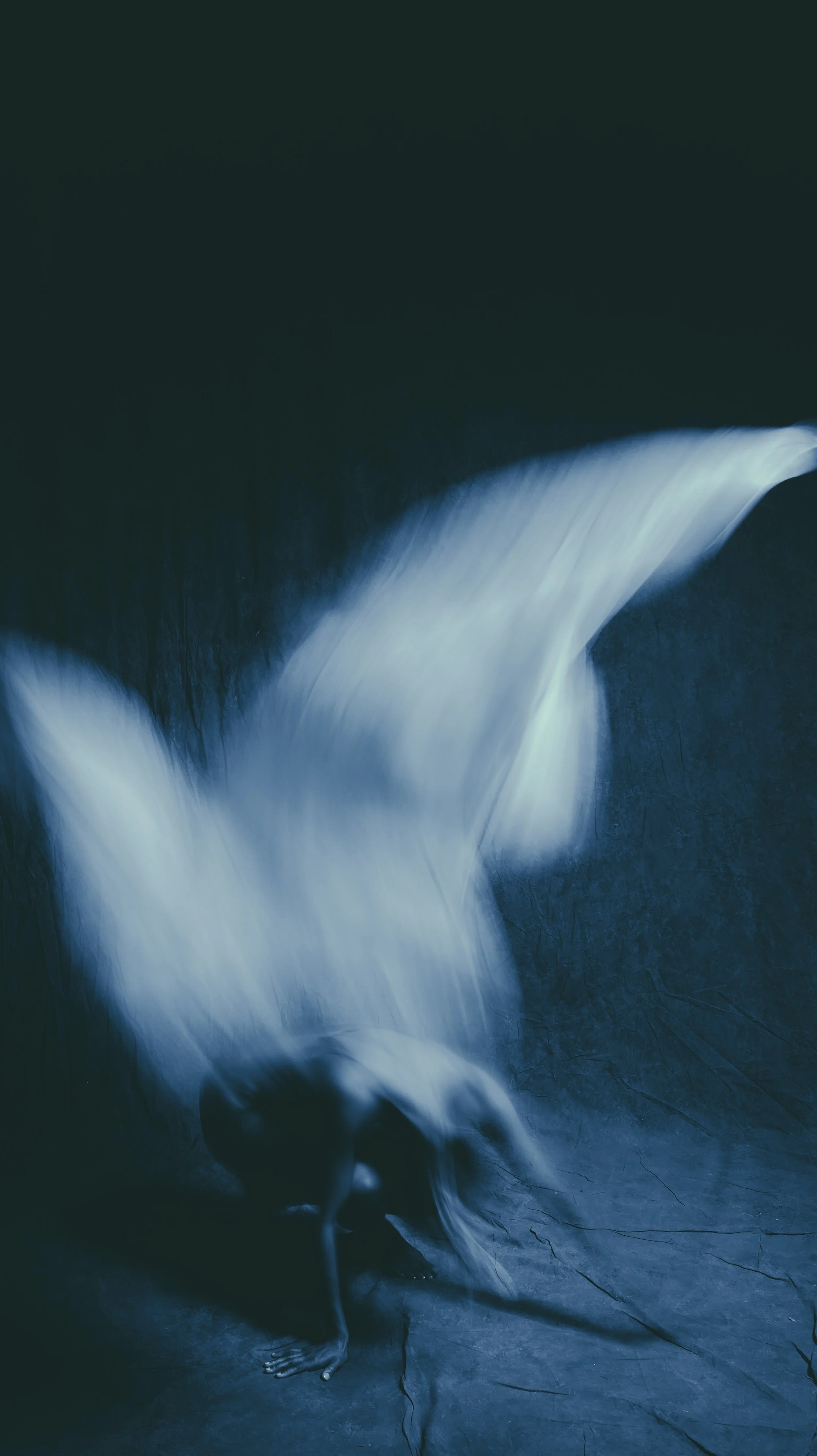 Self&nbsp; Portraits: Platinum palladium&nbsp;&amp; cyanotype