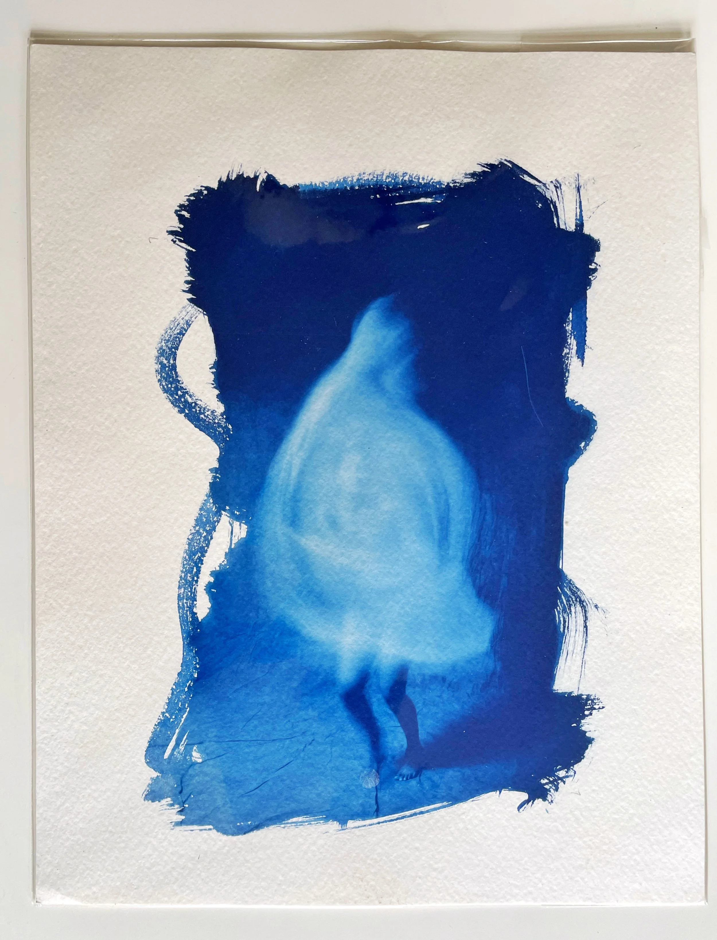 Phoenix Series  IV: Cyanotype Artist Proofs 8x11in