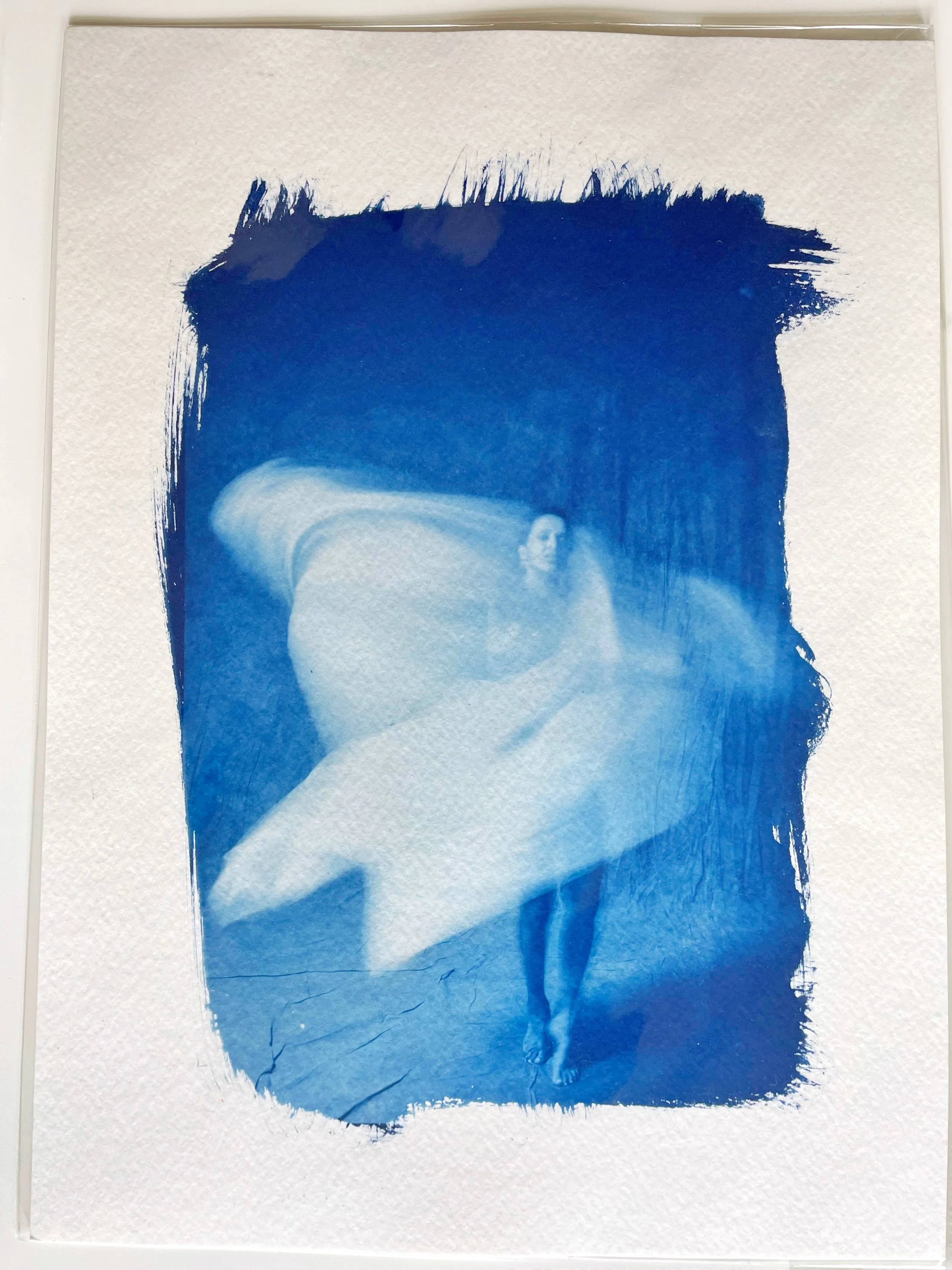 Phoenix Series  III: Cyanotype Artist Proofs 8x11in