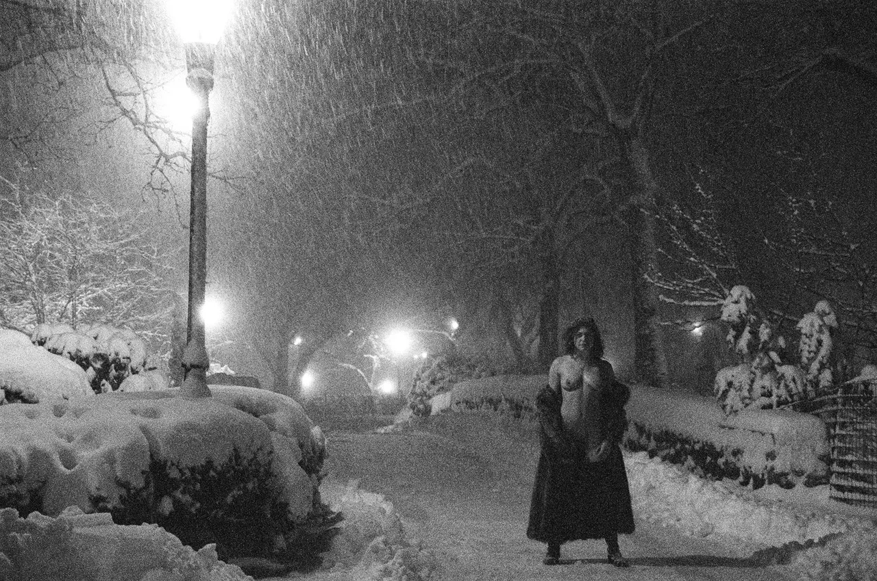 Dreams & Visions: Winter 2013 #25