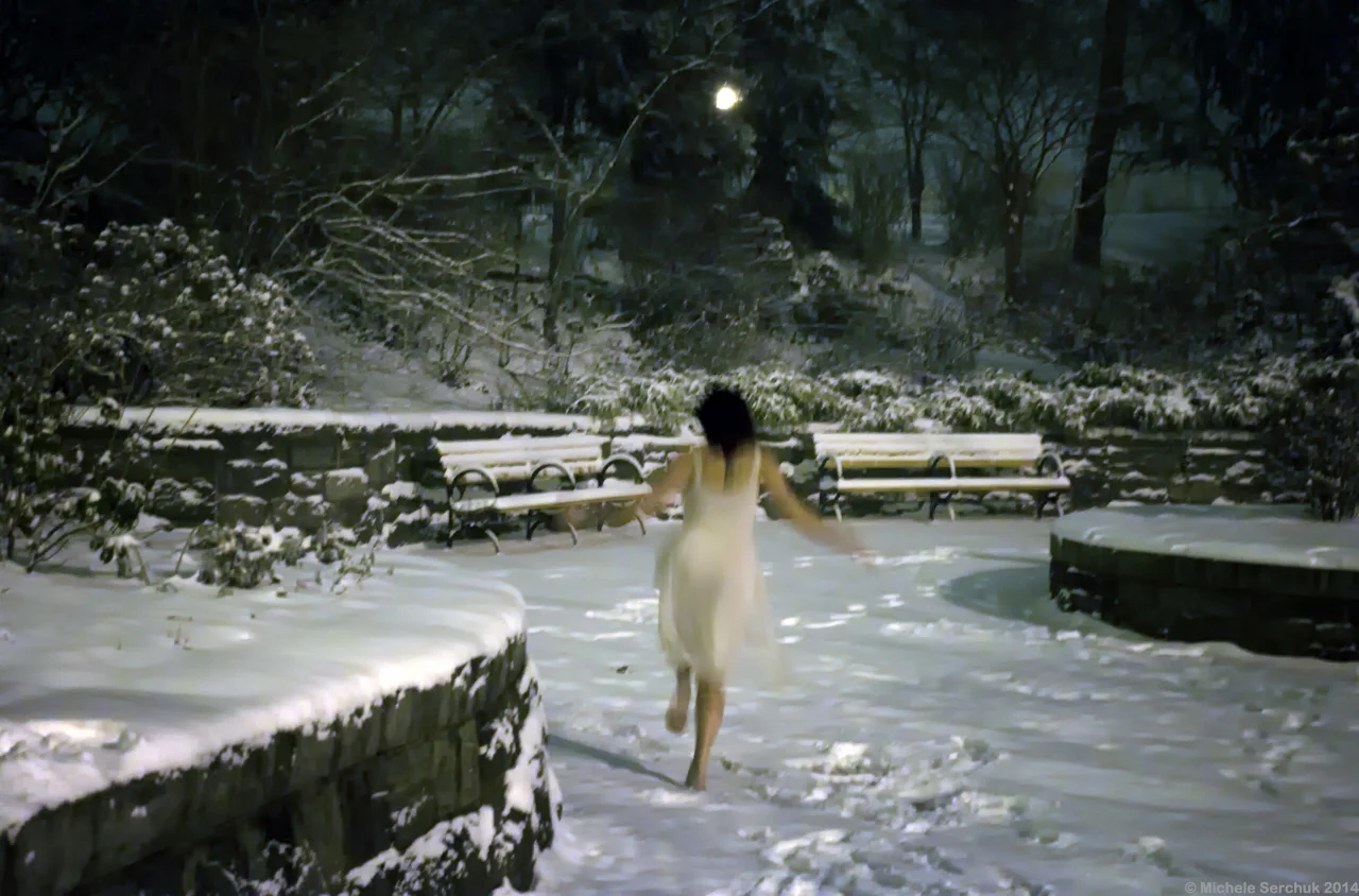 Dreams & Visions: Winter 2014 #3706