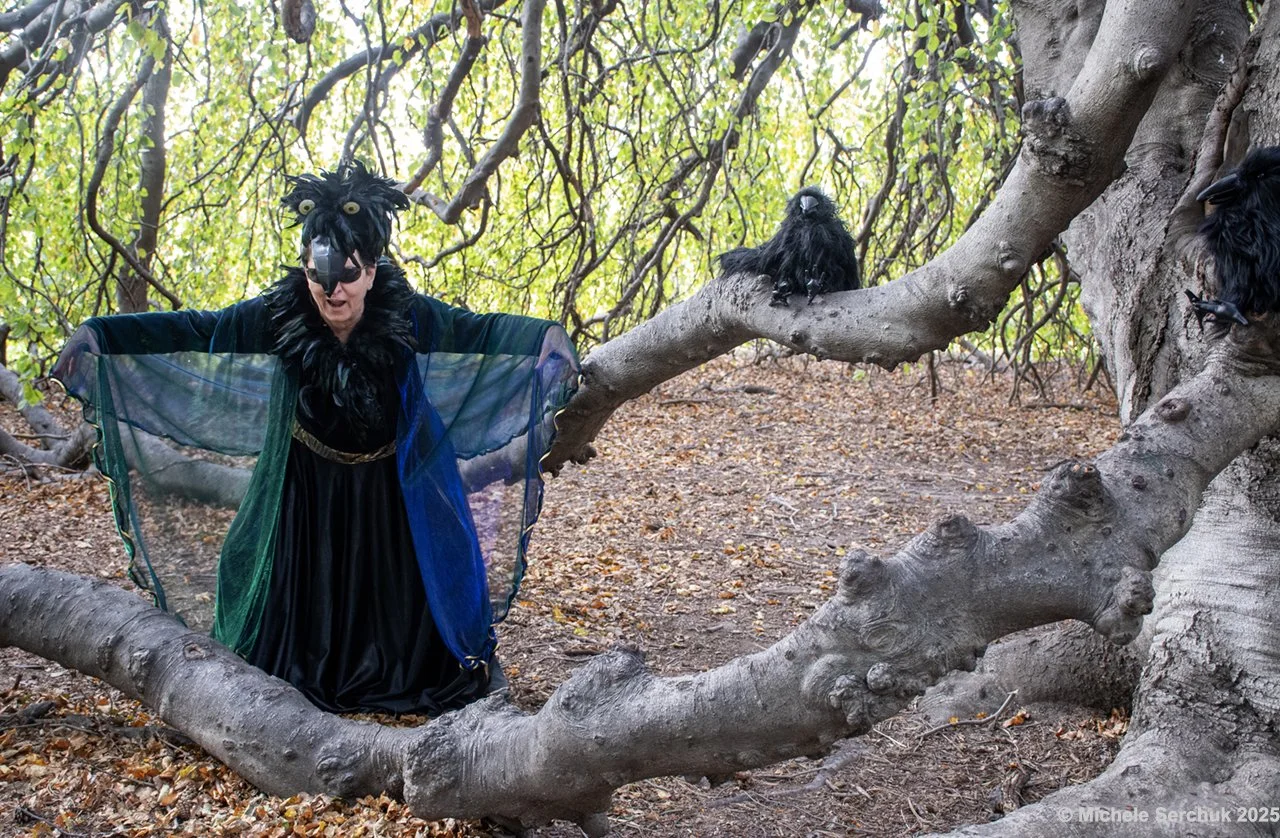 Modern Fairy Tales: The Raven #3216