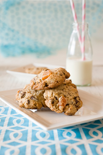 Oaty apricot chocolate cookies