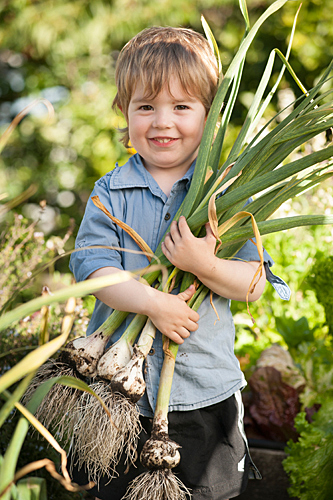 Young boy holding fresh garlic
