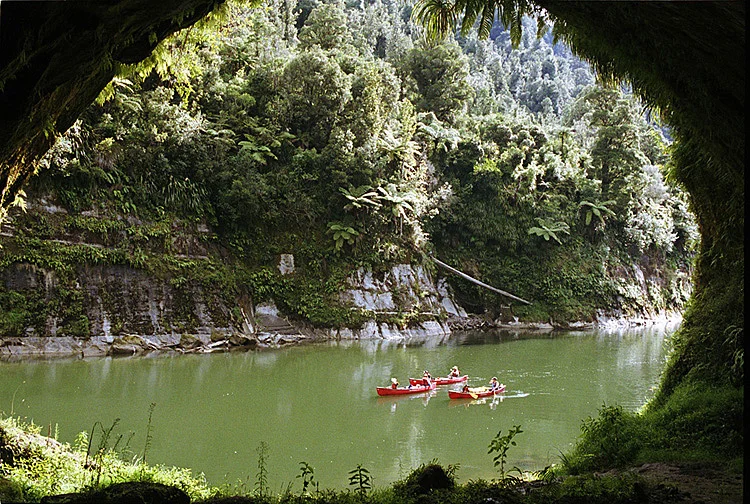 Canoe Safaris, Whanganui