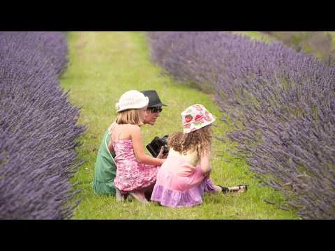 La Fete de la Lavande