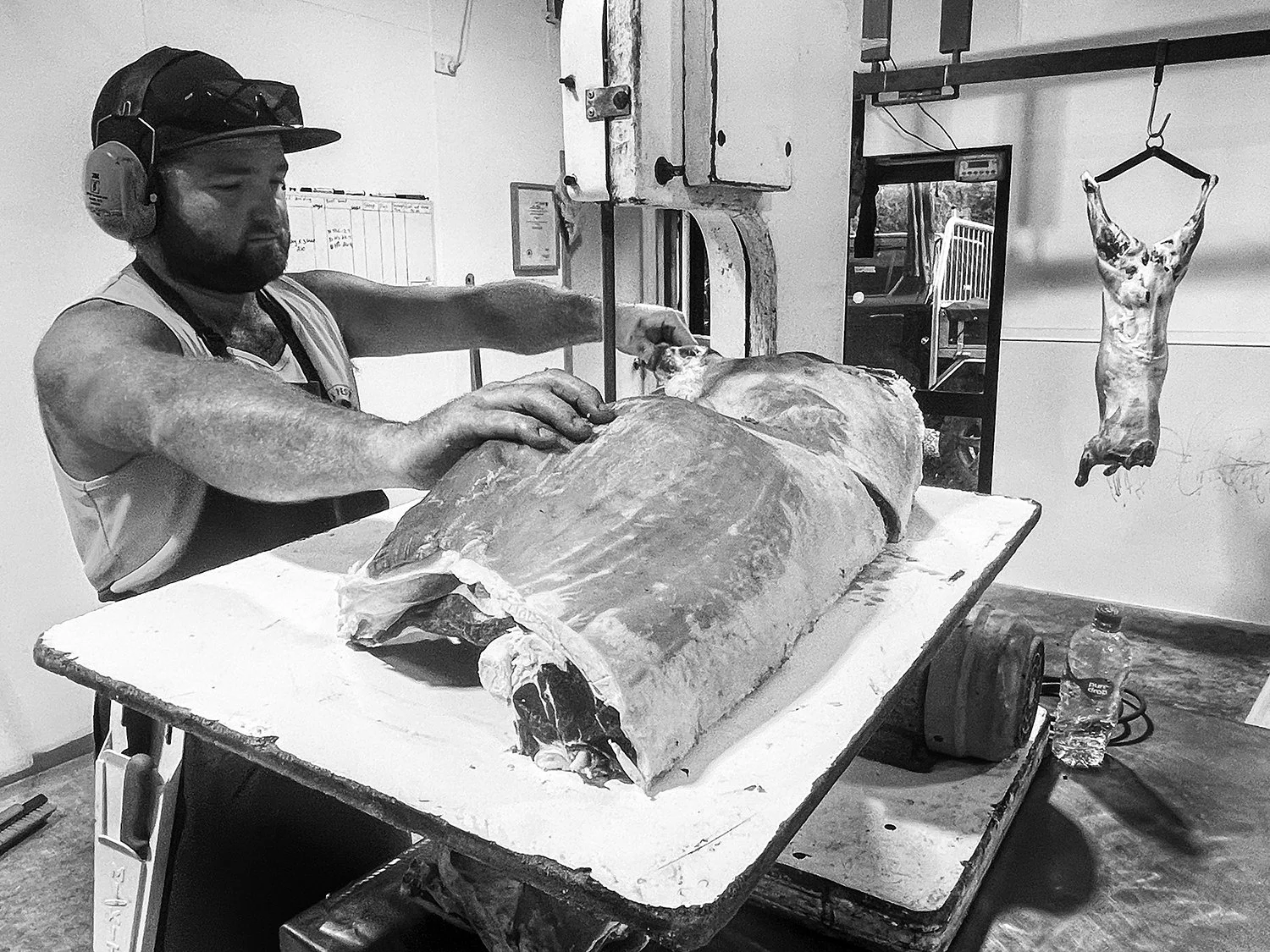 Butcher cutting a sheep carcase with a band saw