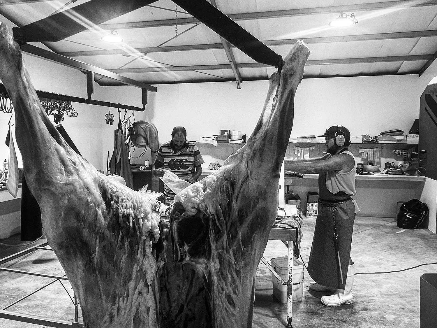 Sheep being butched in a home kill business