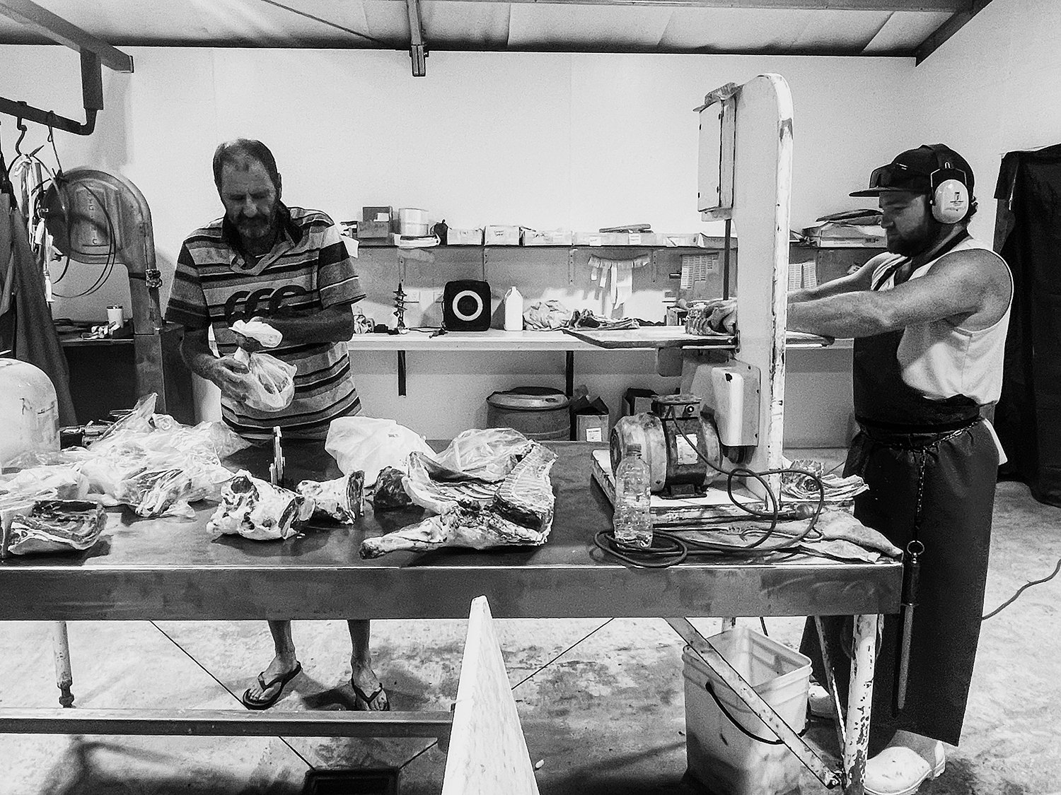 Butcher and a man packaging chops from a sheep carcase