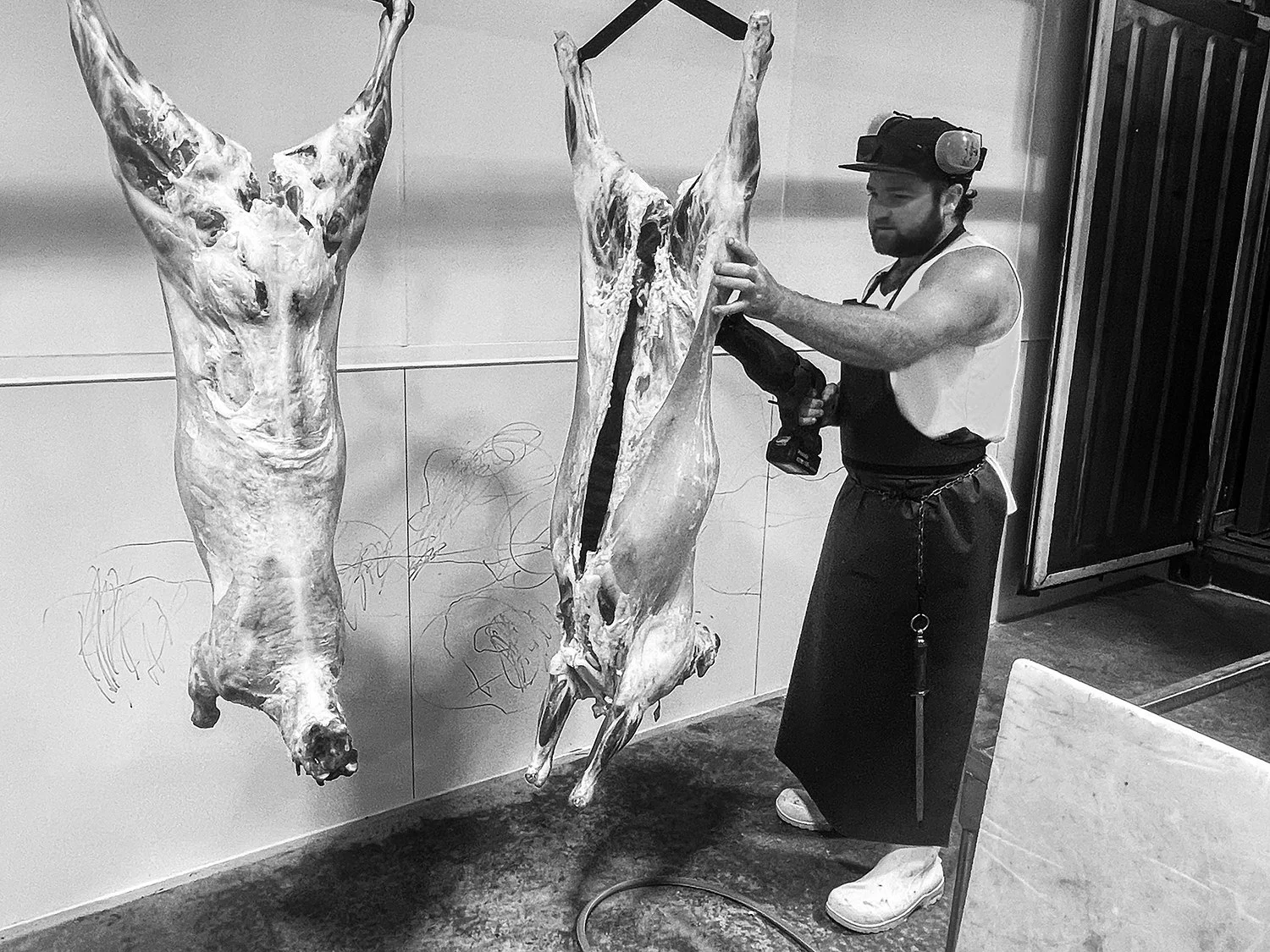 butcher cuting a sheep carcase with a sabre saw