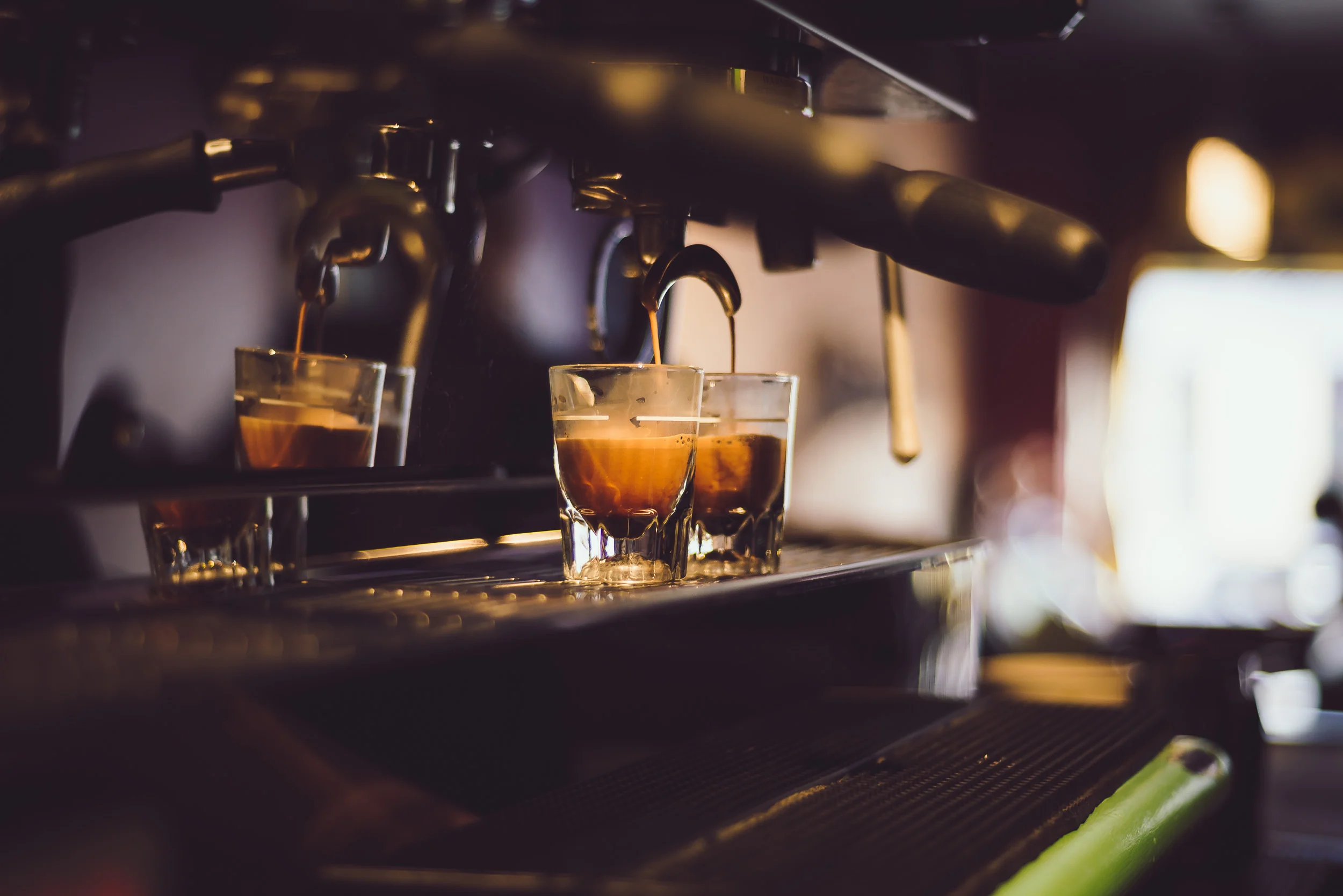 The Groggy Toad - Thunder Bay Commercial Photography