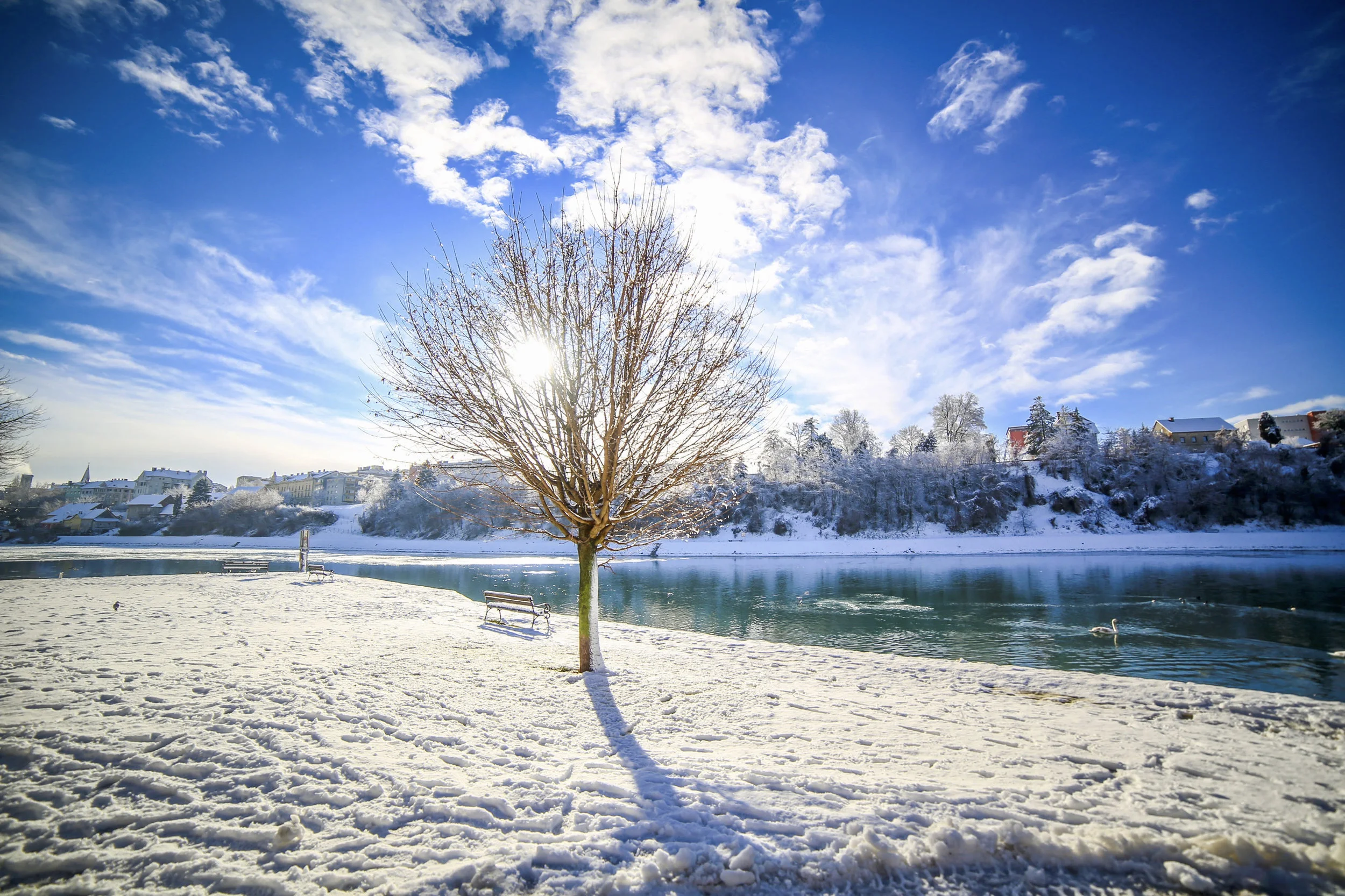 Lonely tree ; januar 2017; Canon 5D; Samyang 24mm