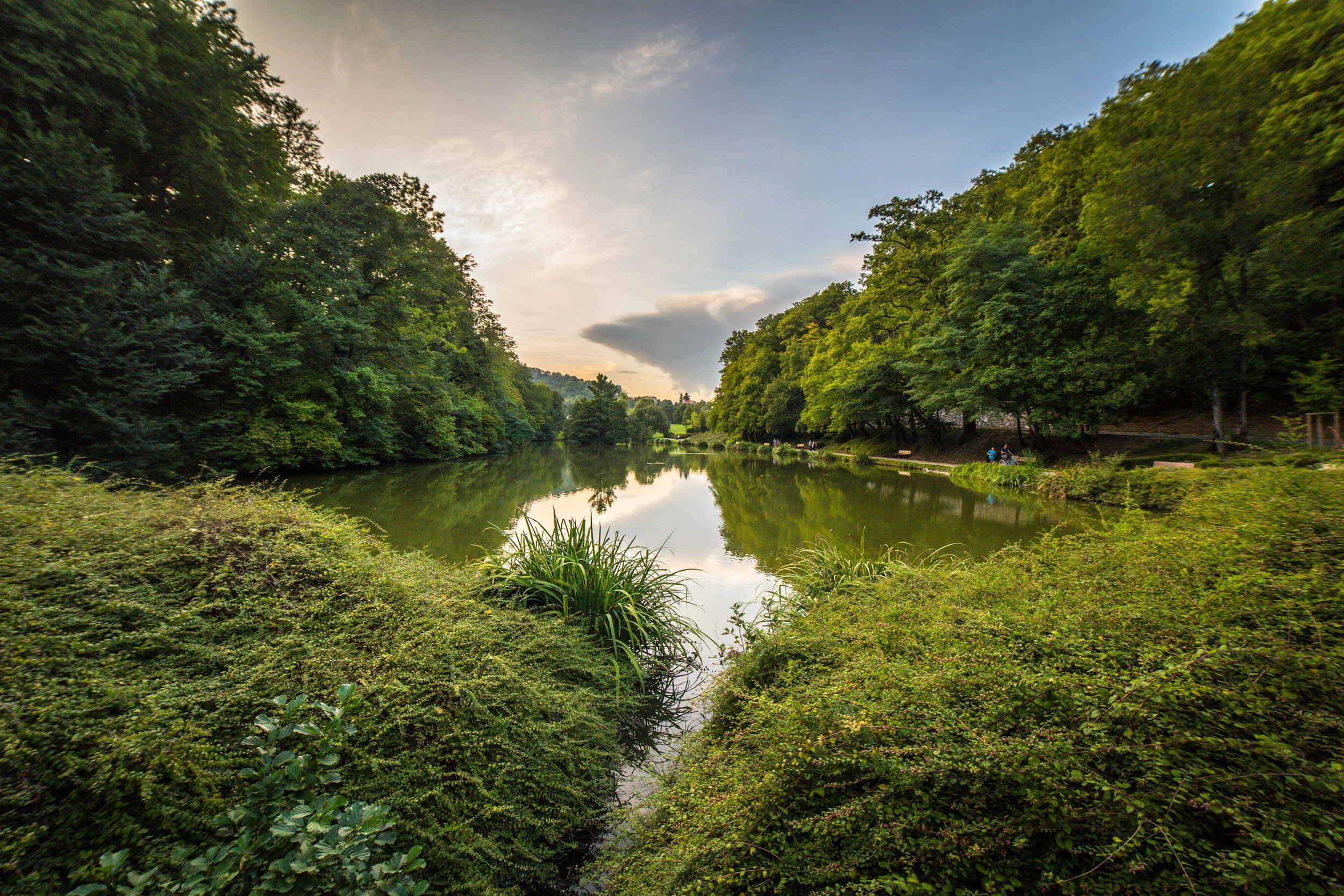City Park IV