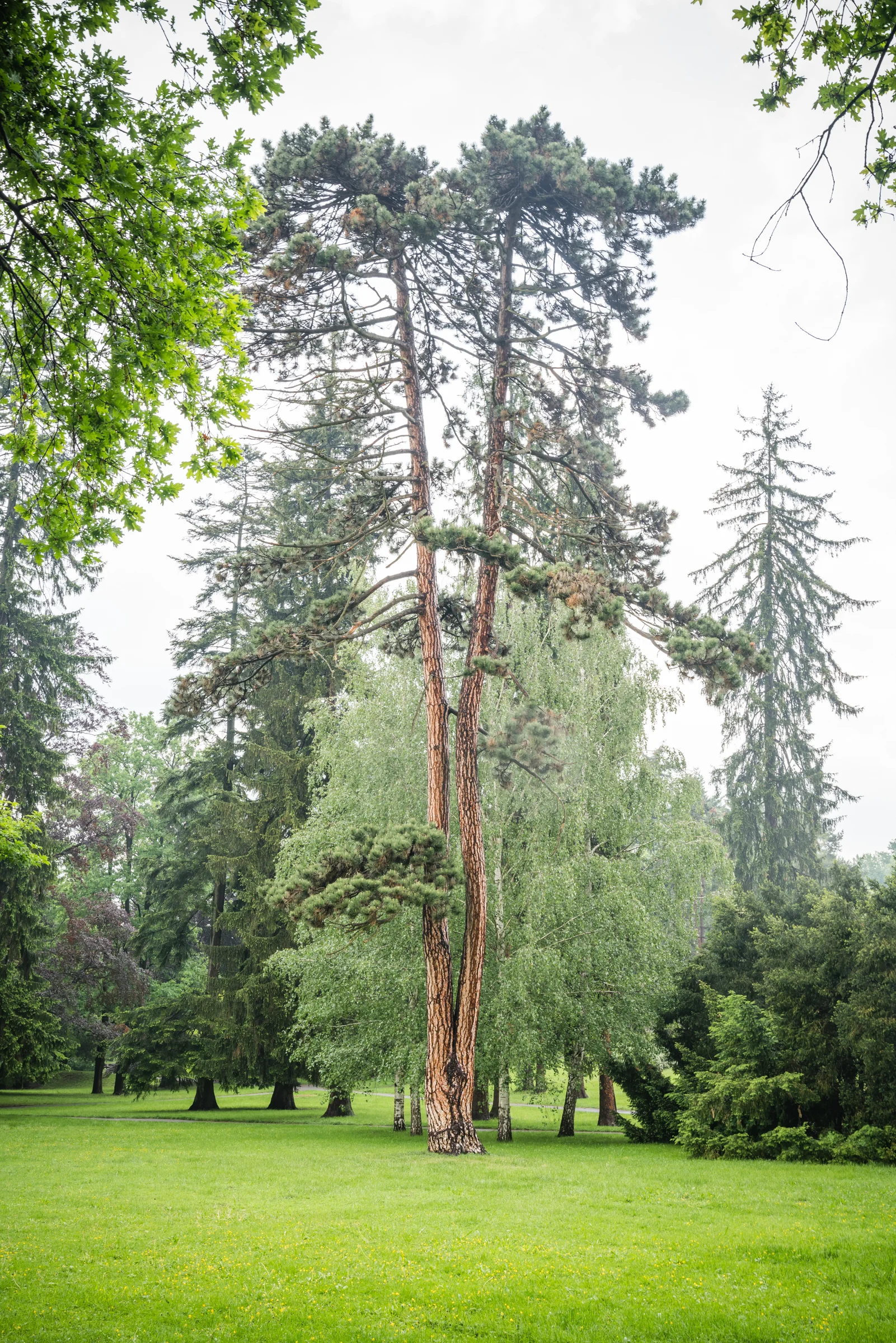 15_Mestni_park_9.jpg