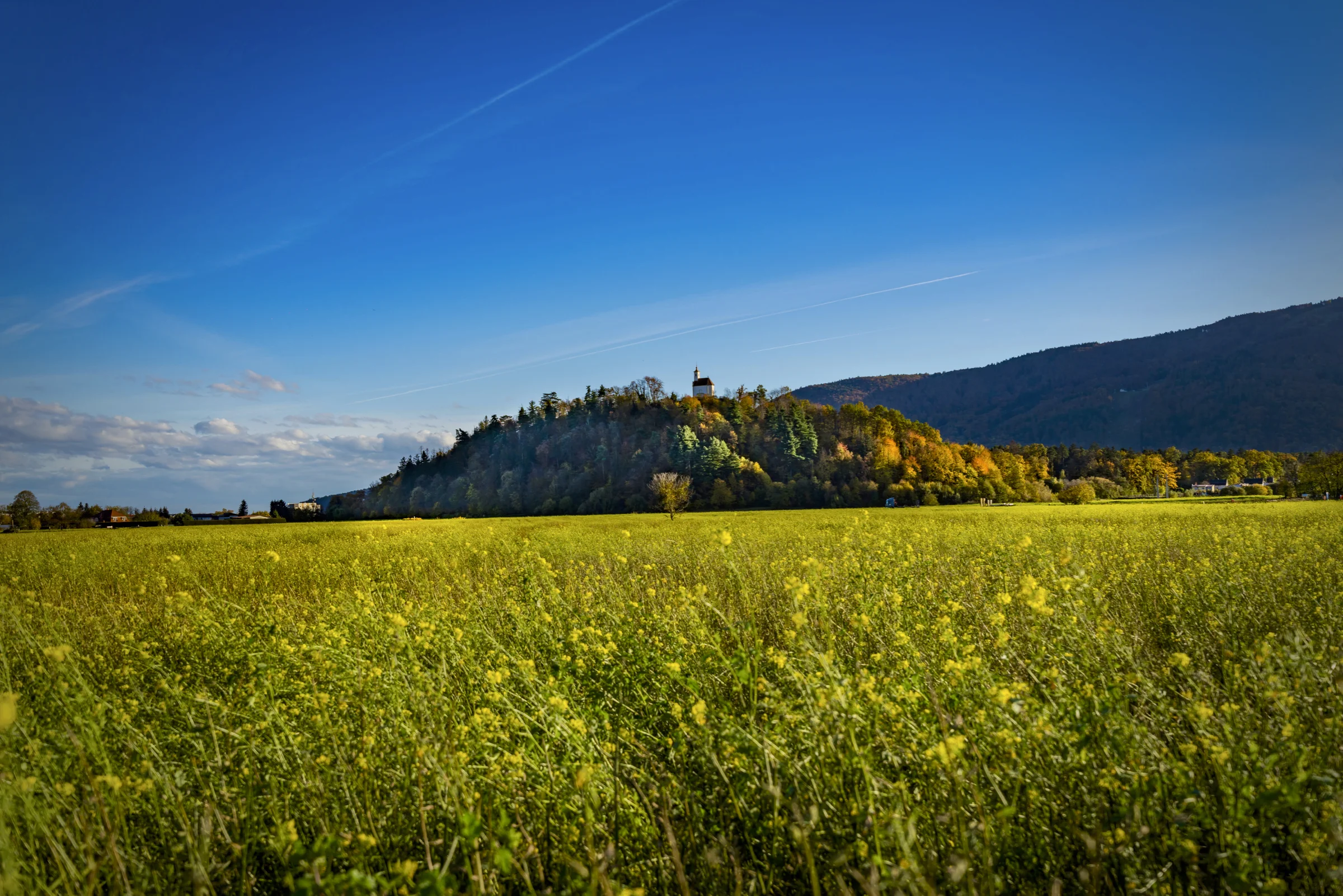 35.PEKRSKA GORCA 1.jpg