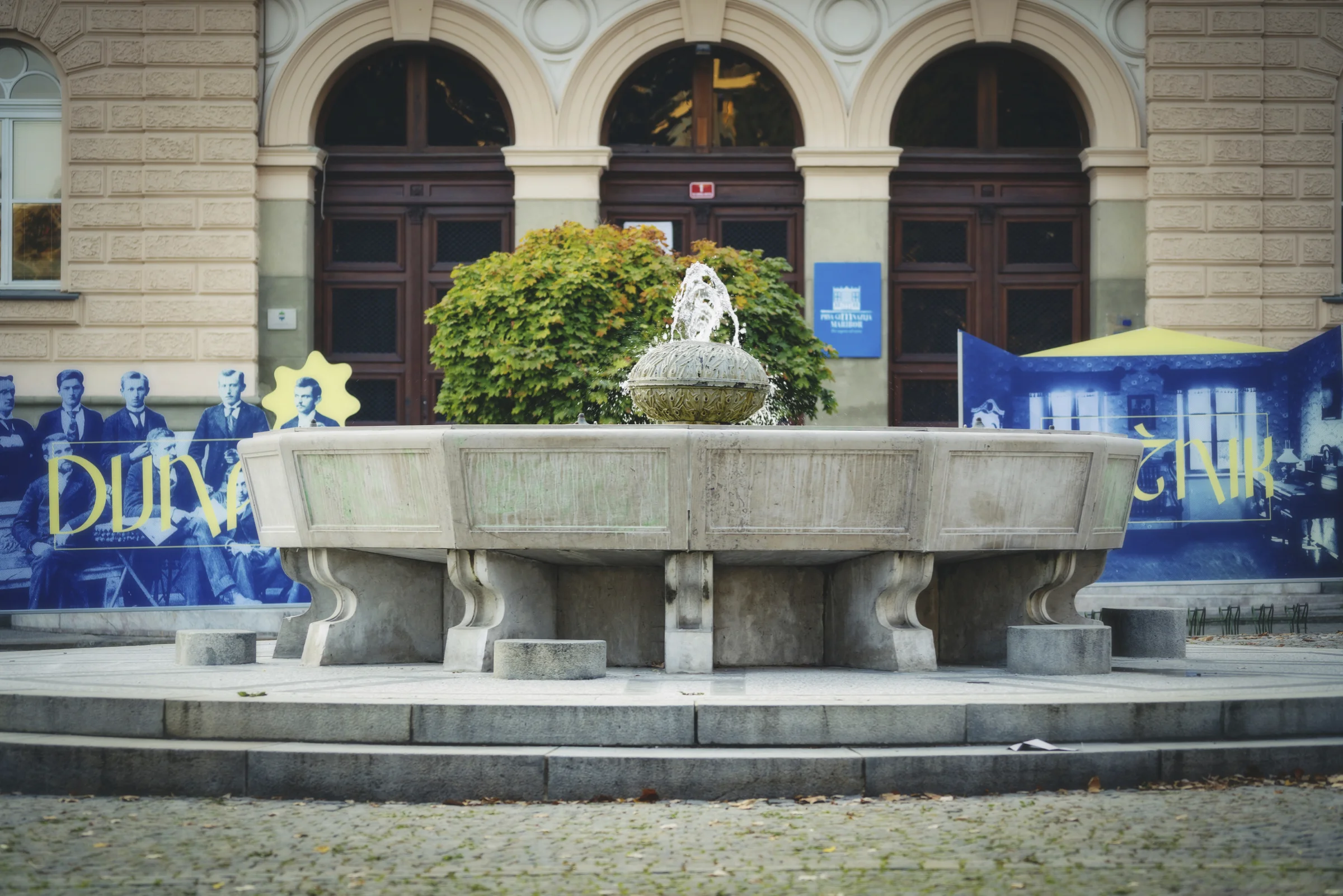36.FONTANA 2.jpg