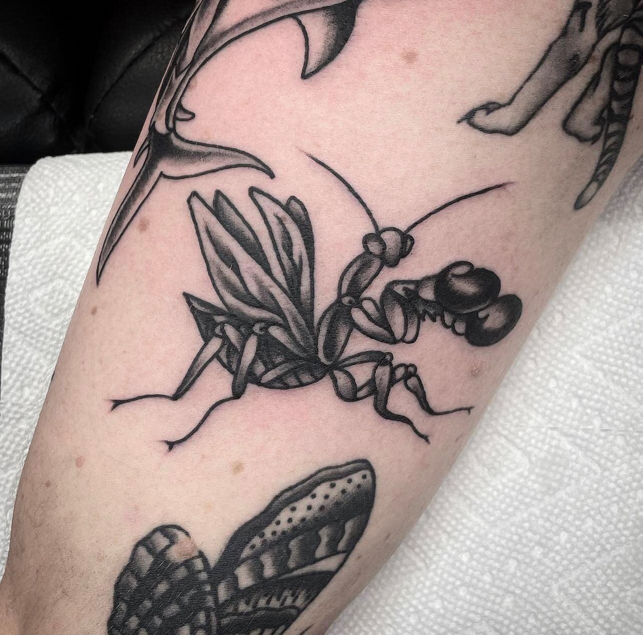 That&rsquo;s one tough praying mantis 🥊
Done by @nickpanzer
