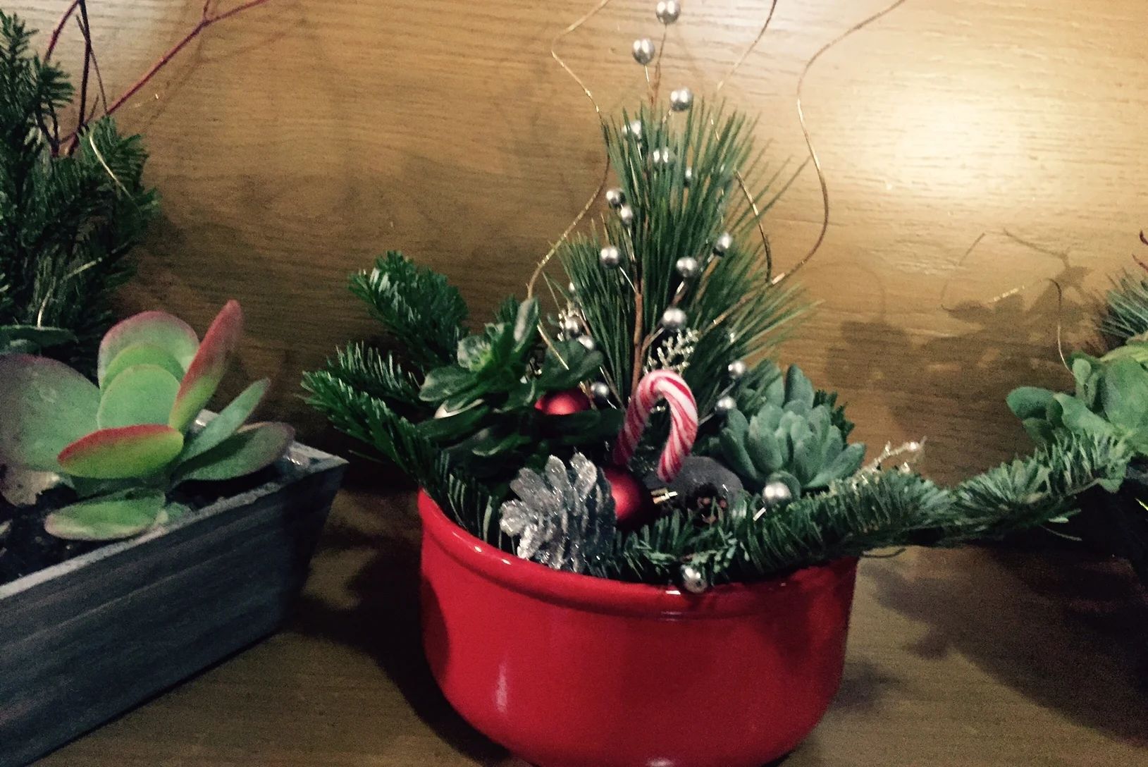 succulentwkshop.jpg