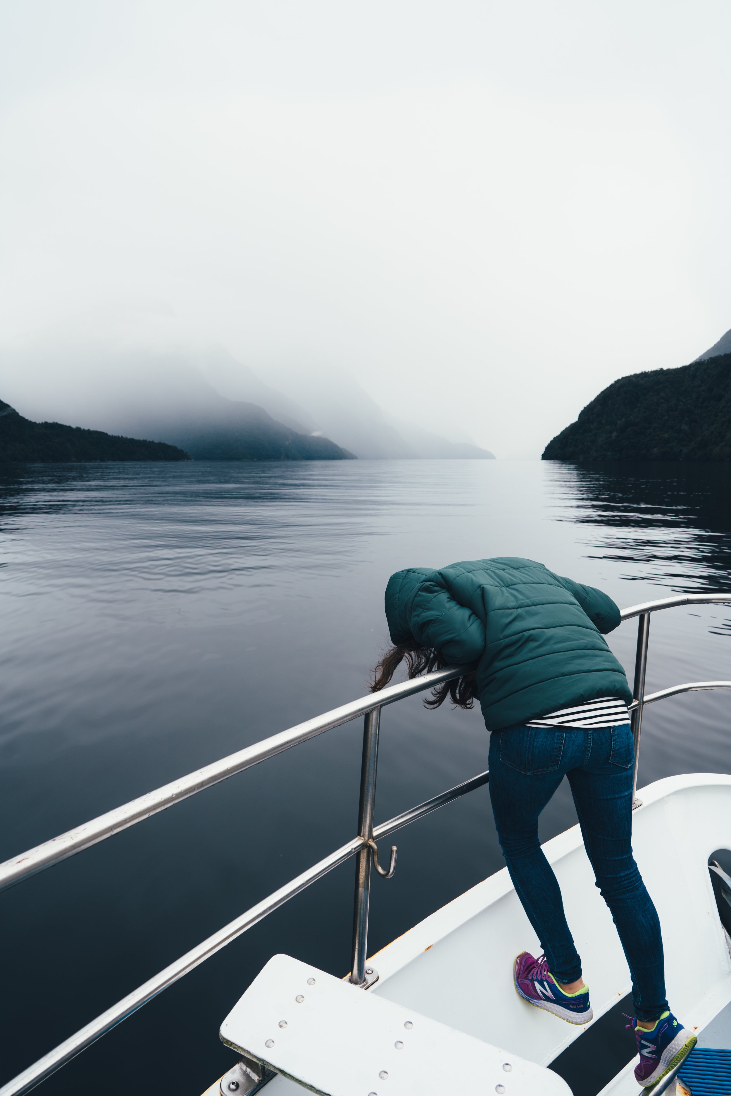 Dolphin Watch Doubtful Sound