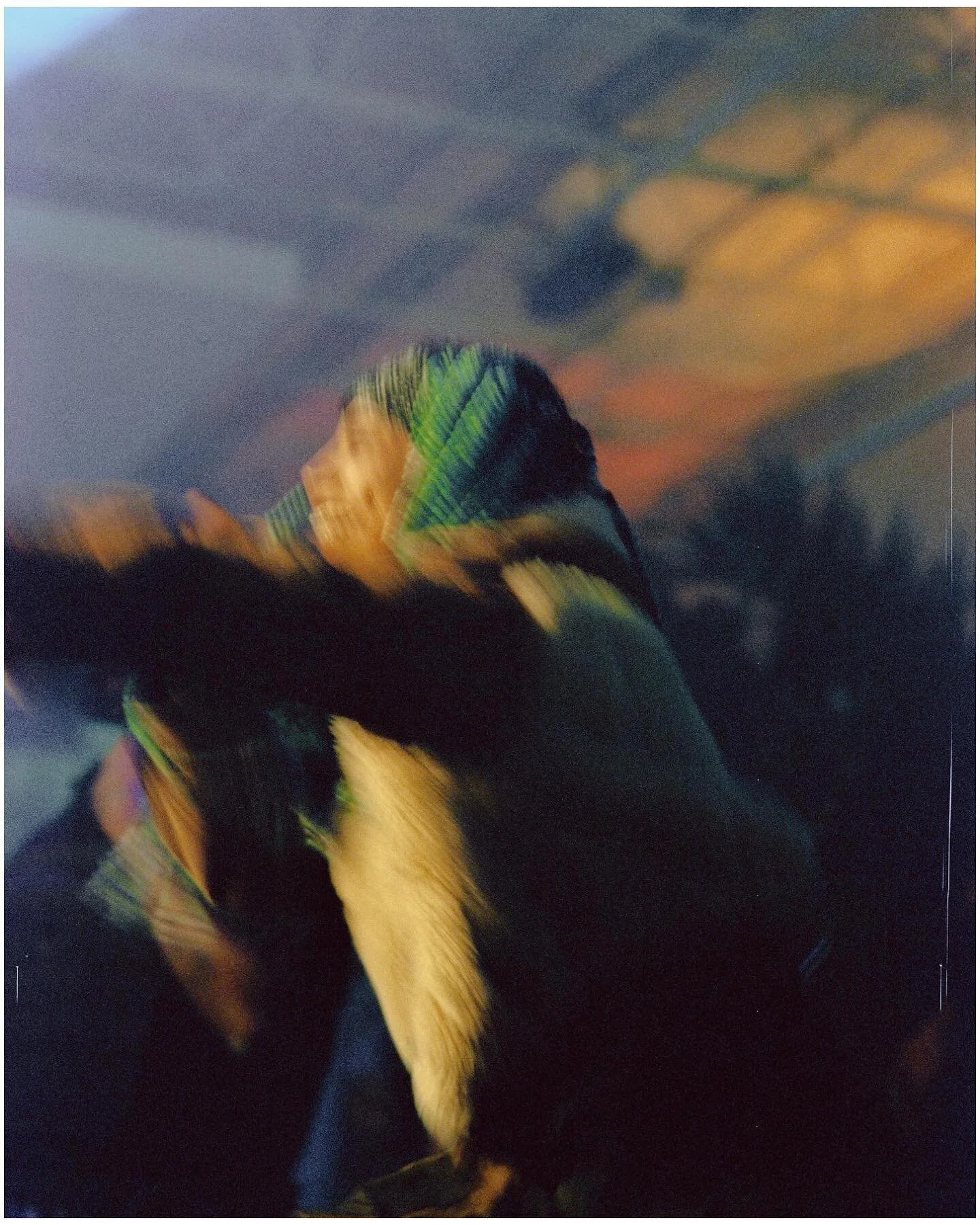 @bktherula by me on medium format and digital at @a3cfestival @soundcloud @sixdegrees 

#mediumformat #concert #film #filmphotography #photography #photo #filmphoto #mamiya #canon