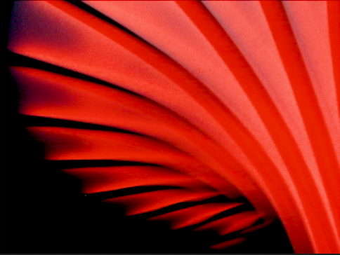 Screenshot 2026-02-28 at 9.39.09 PM.png