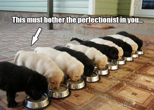 puppies.jpg