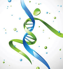 dance-dna.jpeg