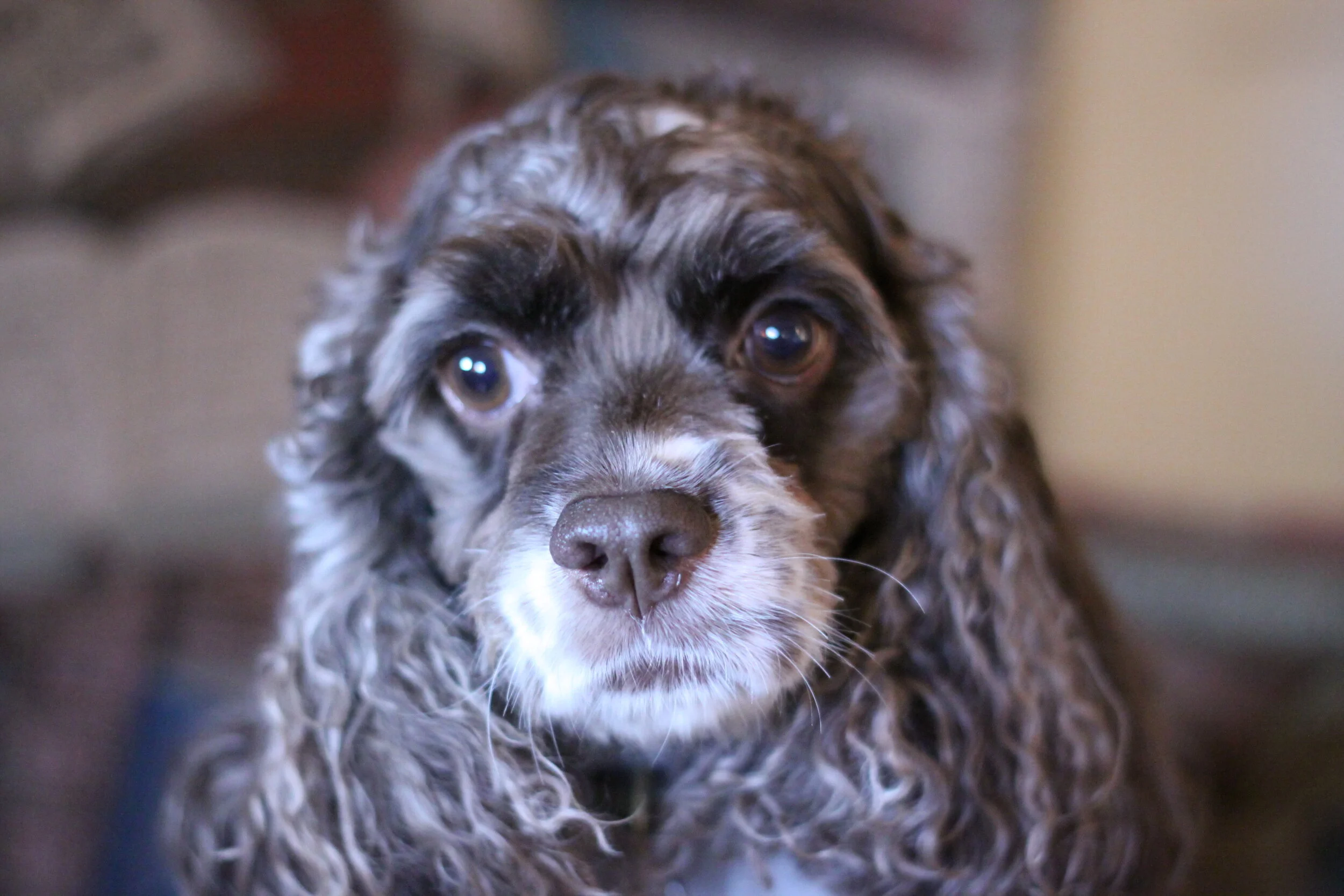  Matilda 
