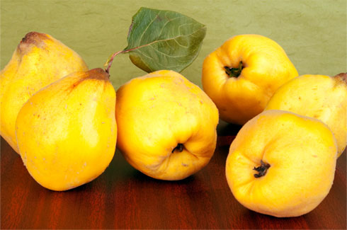 Quince Paste