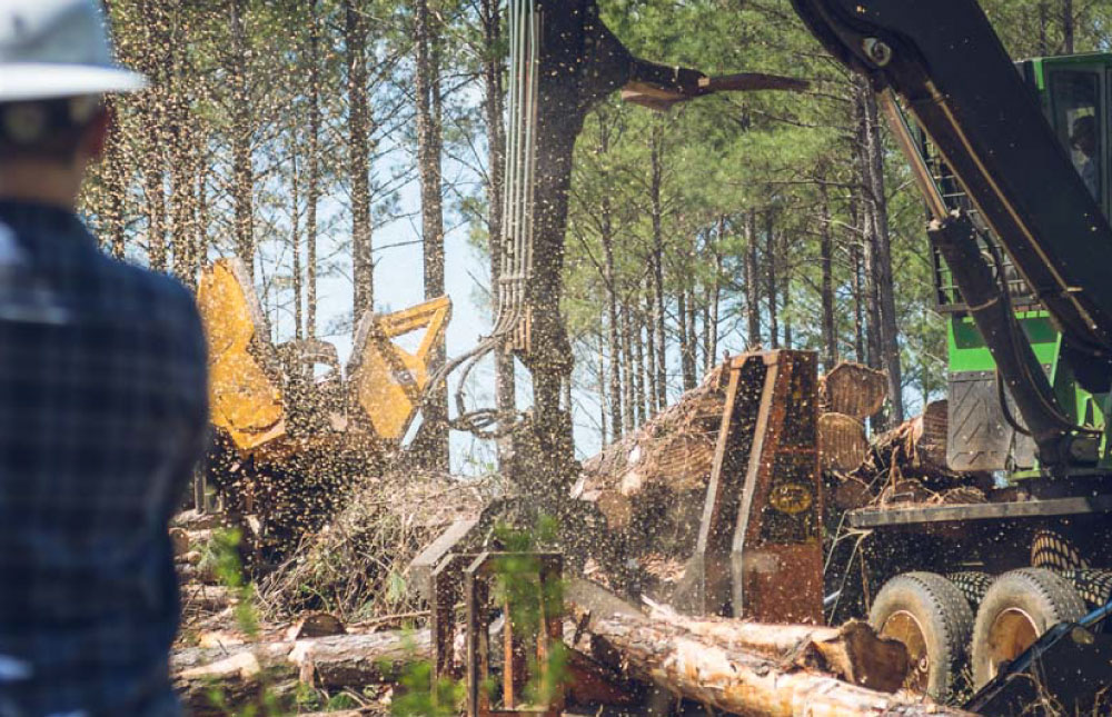 Careers forest forestry related jobs in louisiana
