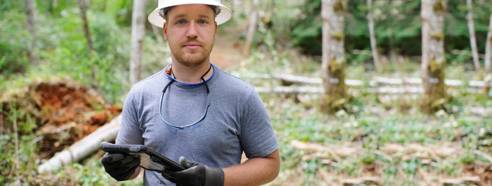 Consulting Forester Consulting Forester Jobs Consulting Forester Salary — ForestryWorks