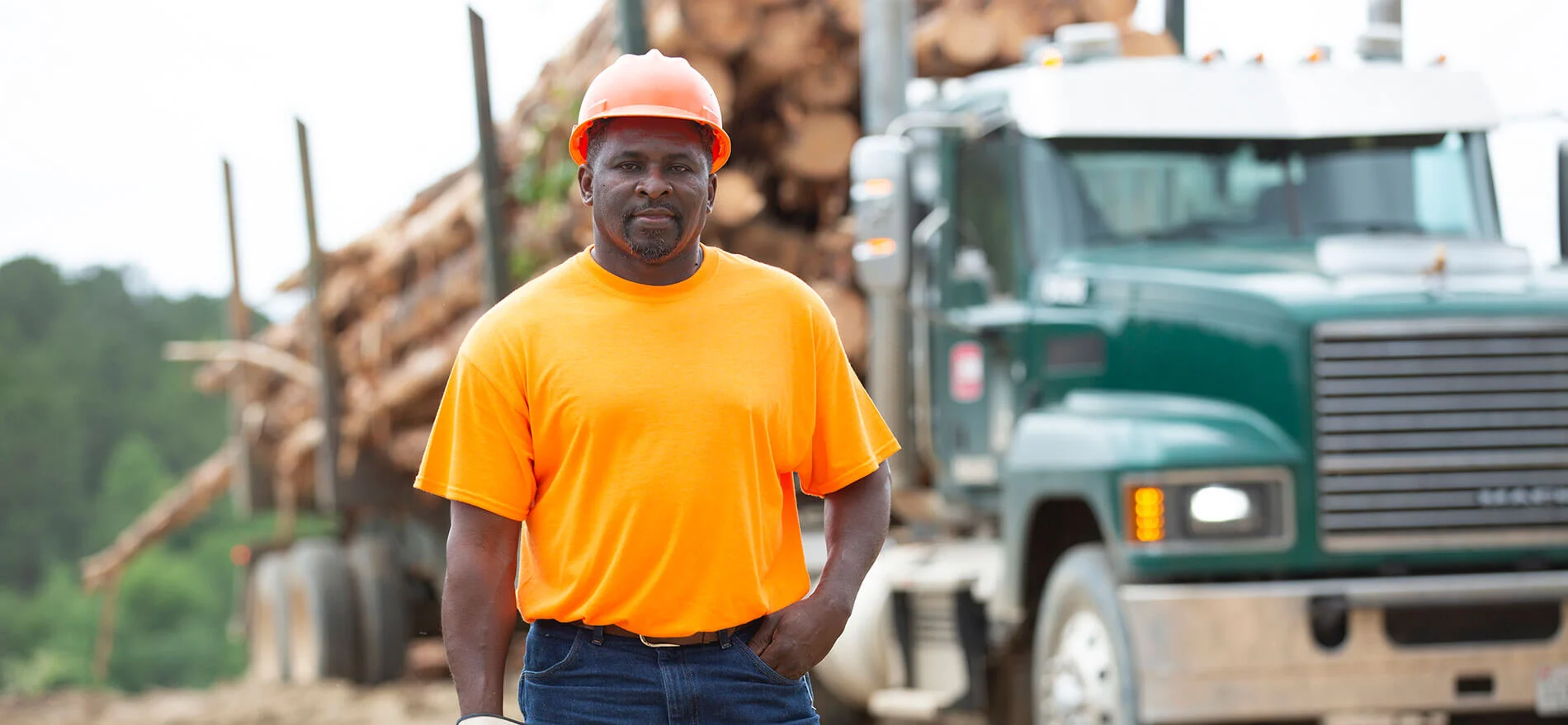 Forestry Job Seekers — ForestryWorks