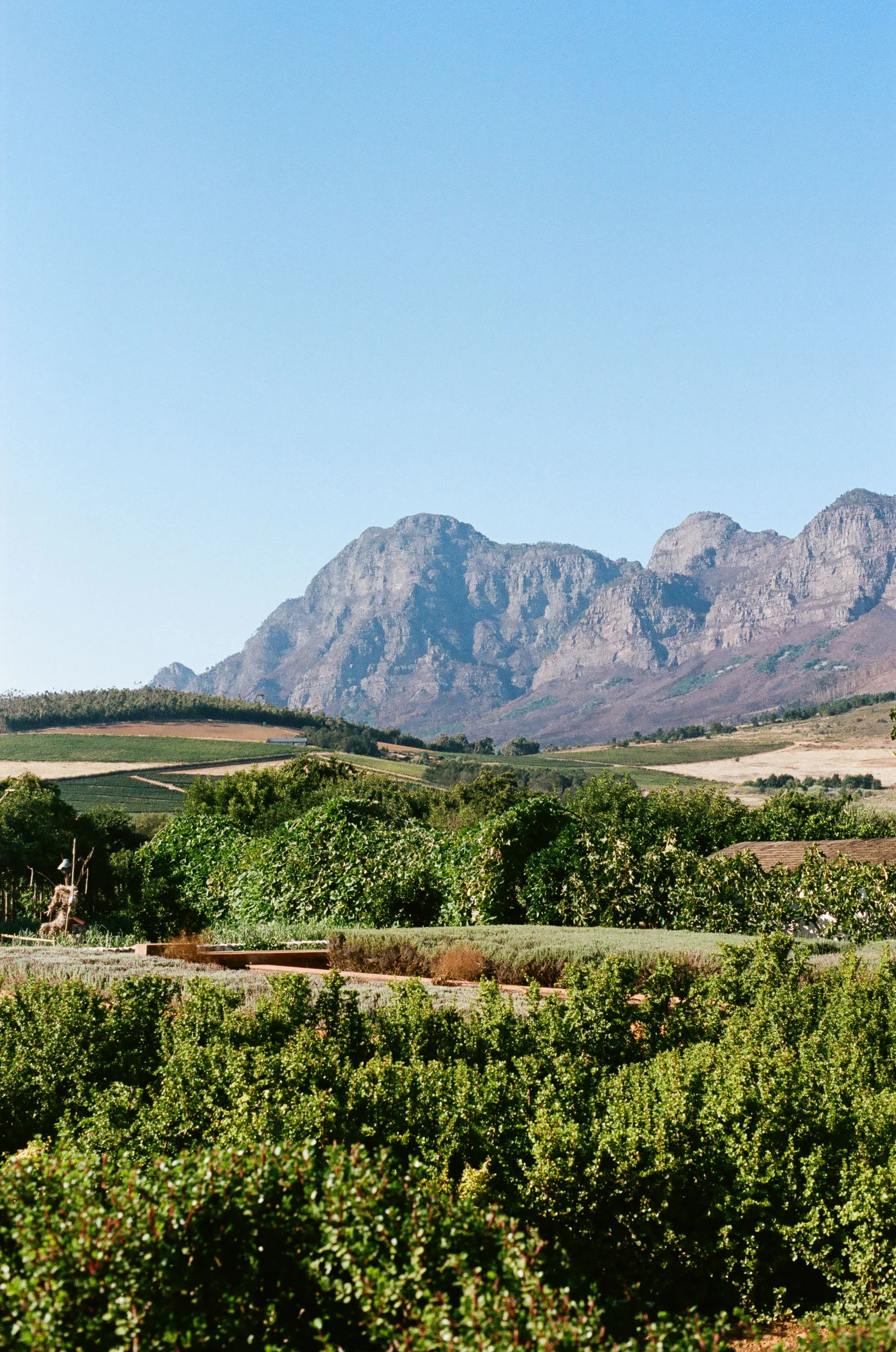 Cape_Winelands_005.jpg