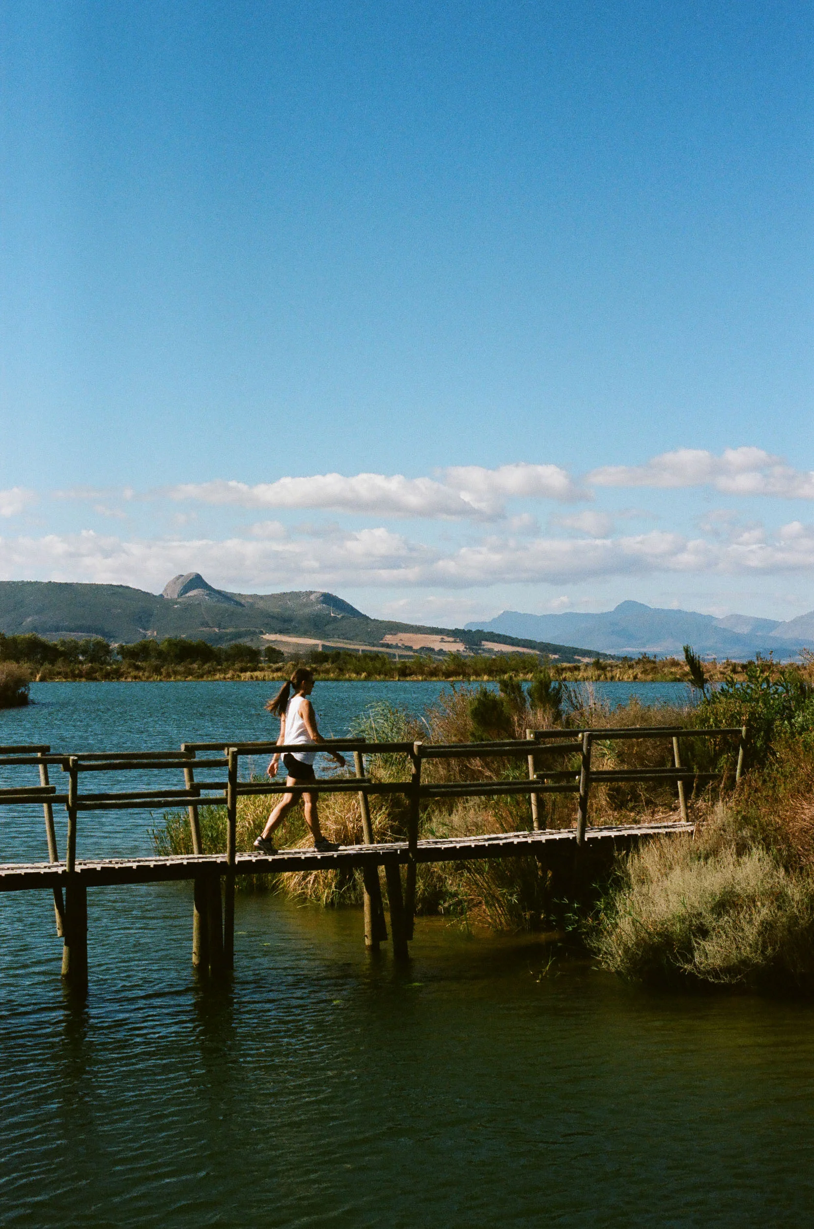 Cape_Winelands_023.jpg