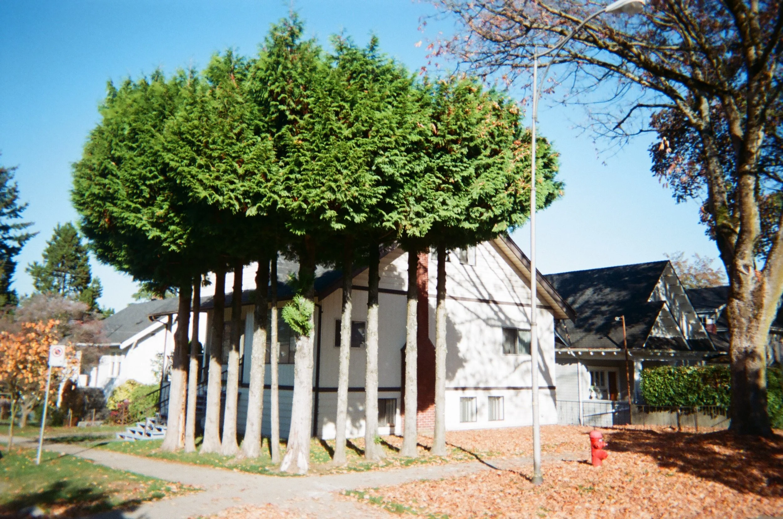 Vancouver, October - December 2018