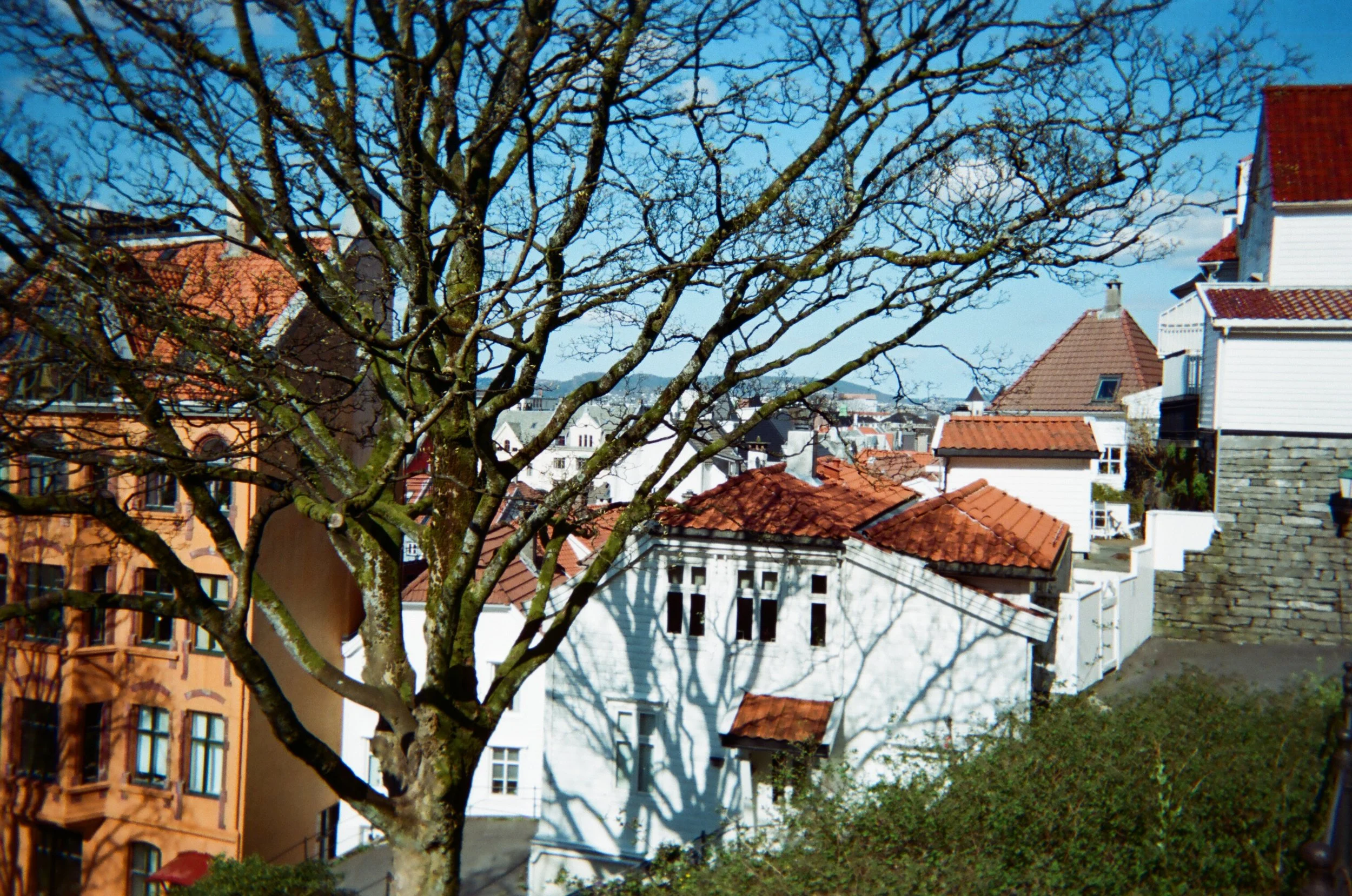 Bergen and Copenhagen, May 2017