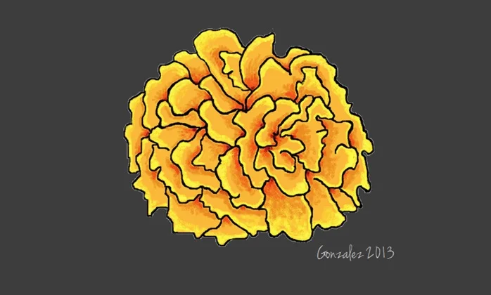 Find your Marigold: The One Essential Rule for New Teachers