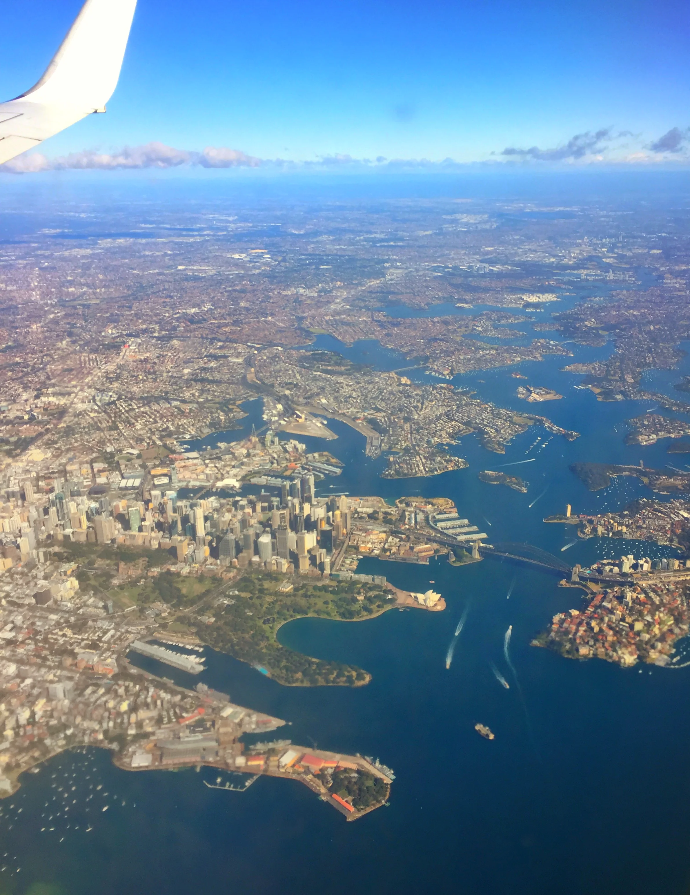 Sydney from the air.jpg