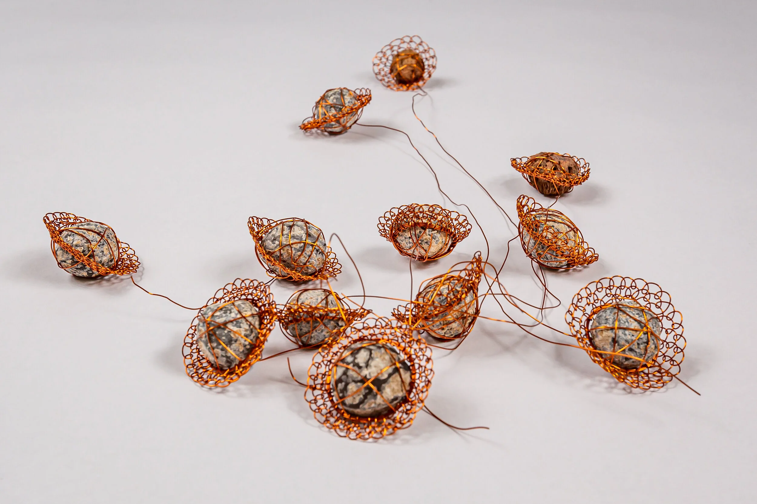 Patterns of My Days- Rainforest