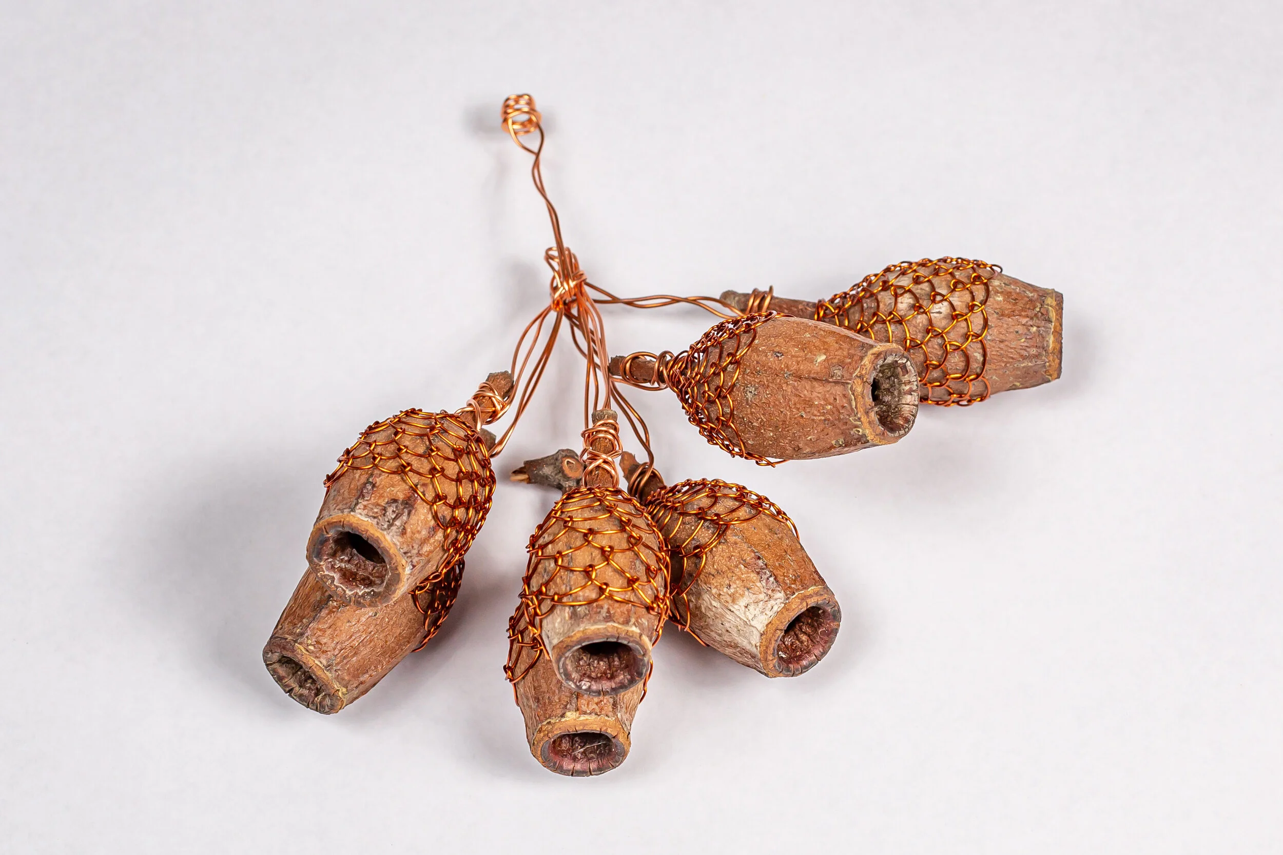 Patterns of My Days- Rights of Nature