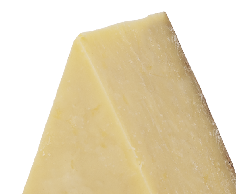 HAFOD CHEDDAR
