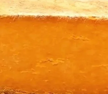 Sparkenhoe Red Leicester