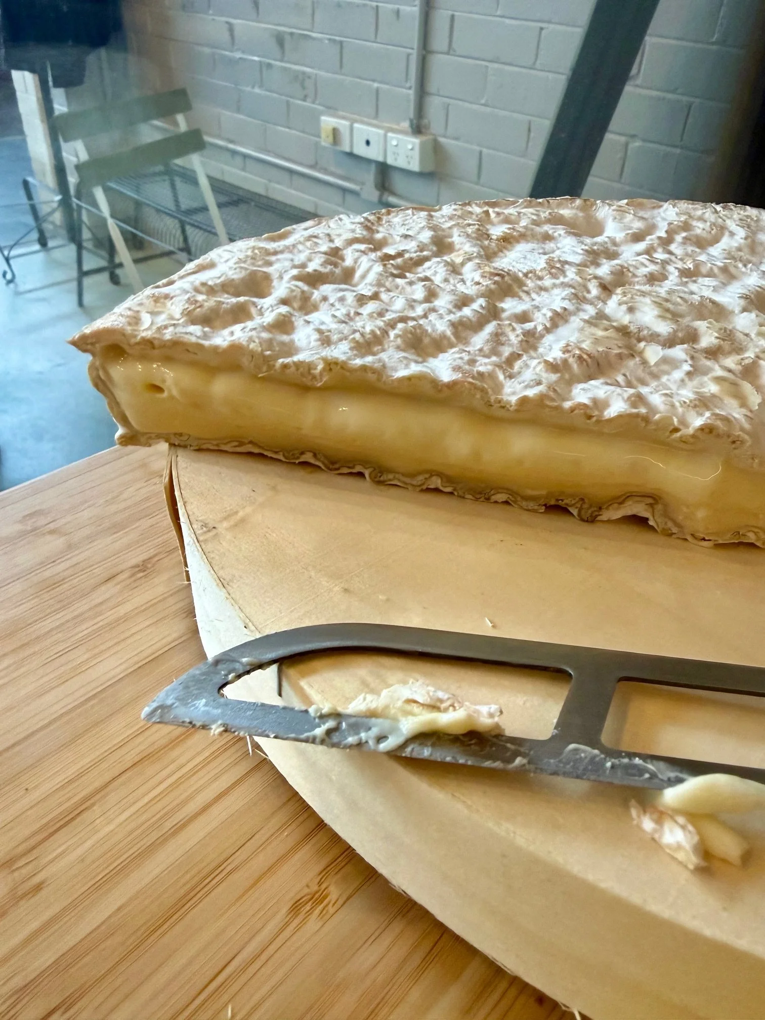 Brie Dodge