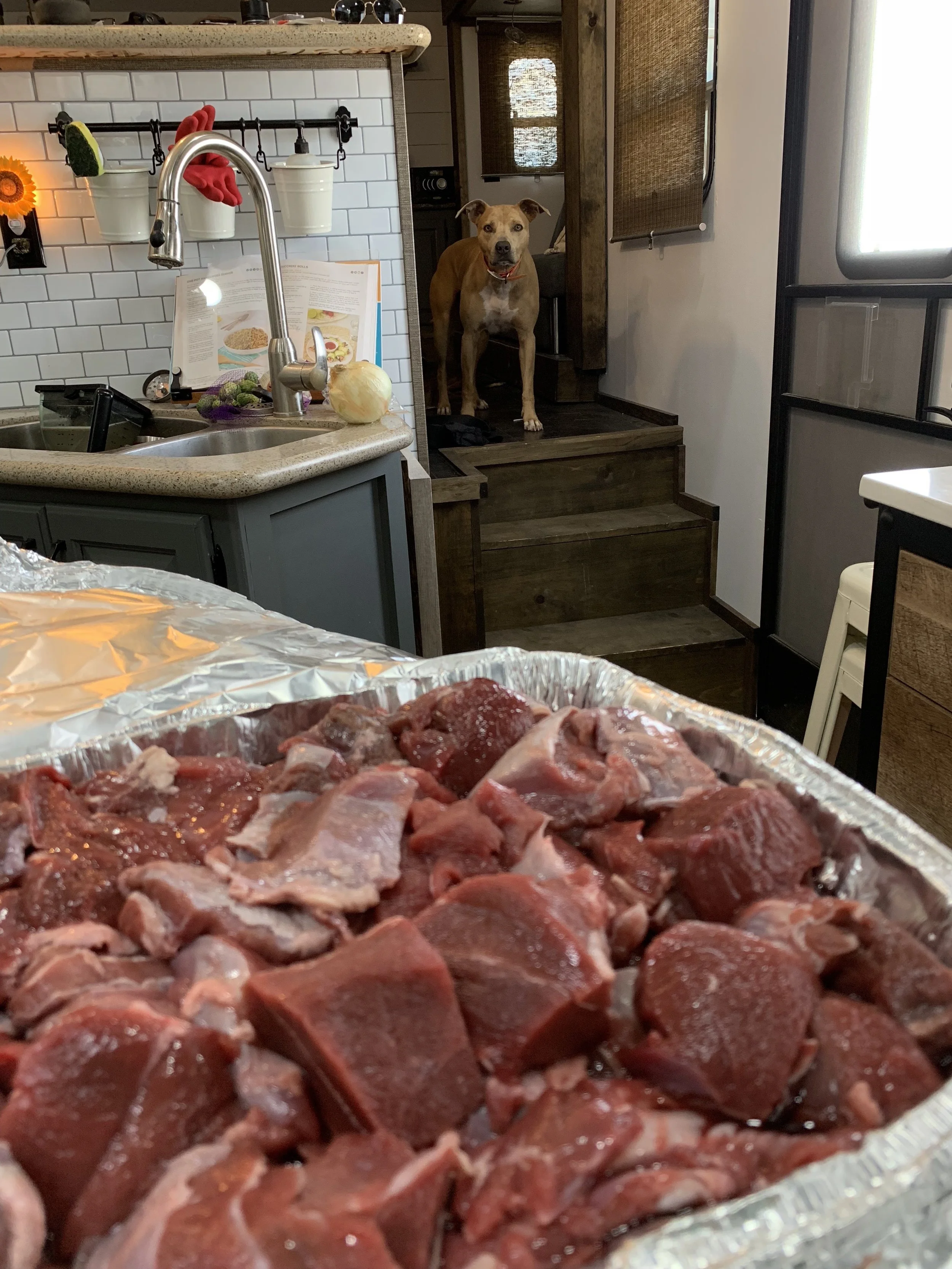 Here you can see how much silver skin I left on this batch because I planned to grind all of it up. WARNING: Dog will awake out of deep sleep when processing wild game! :)