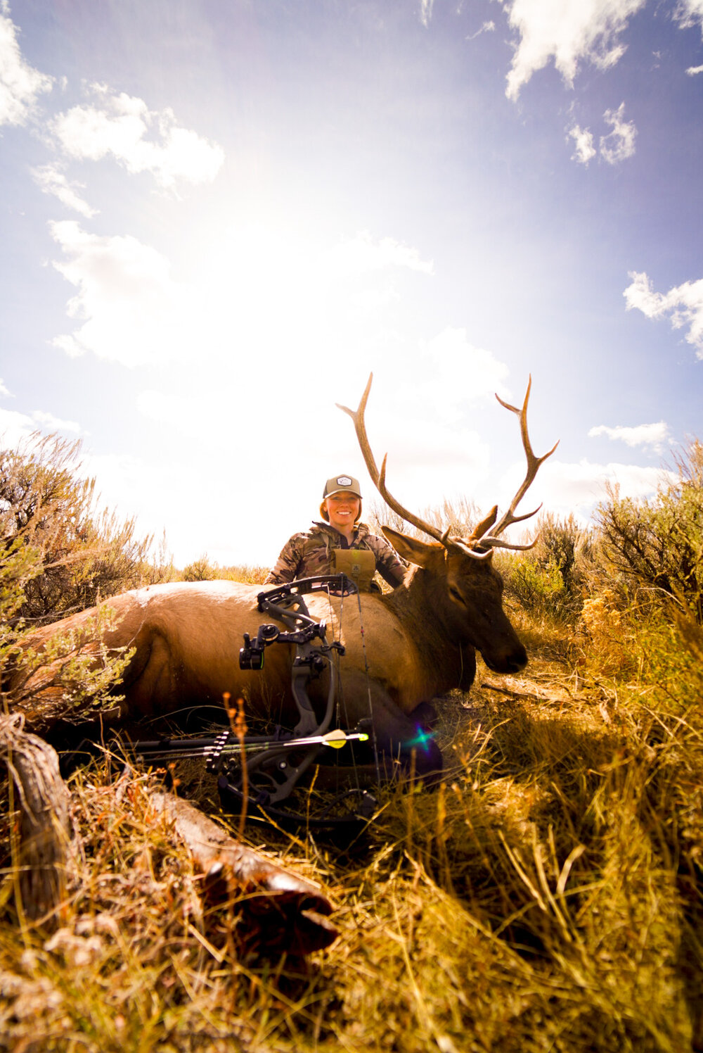 Idaho Archery Elk