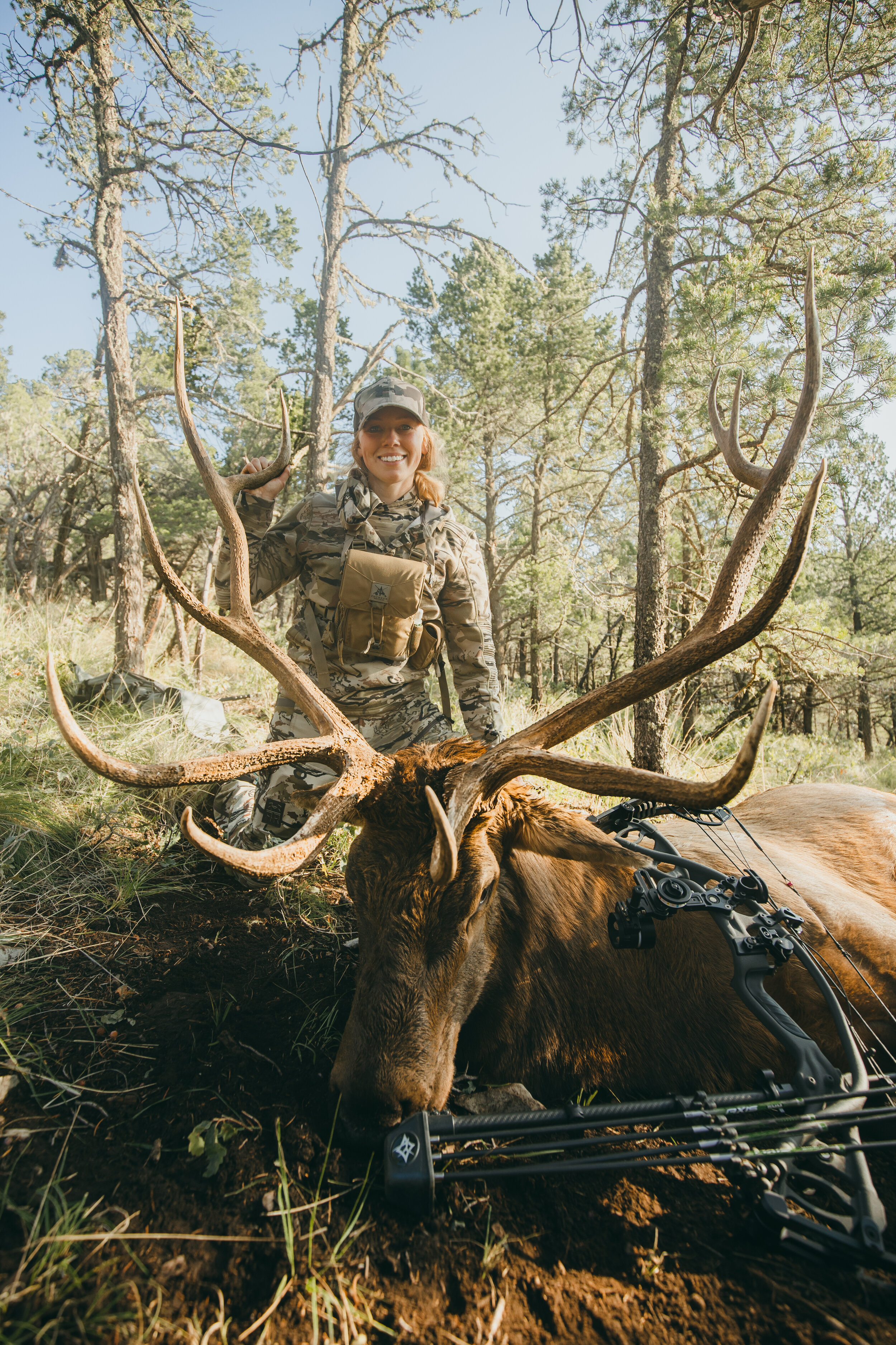 New Mexico Archery Elk