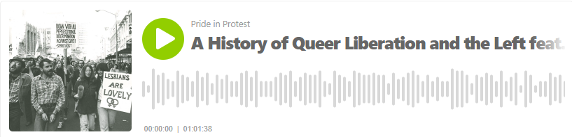 Pride in Protest: A History of Queer Liberation and the Left featuring Ken Davis