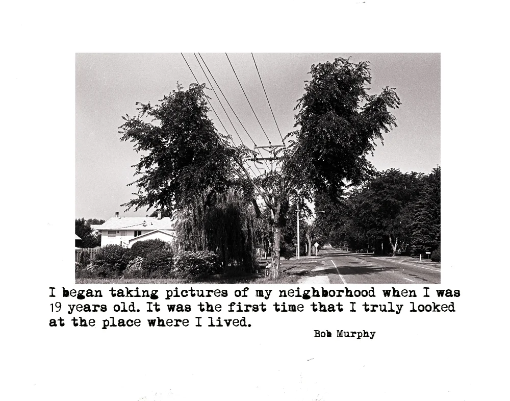4.Tree And Power Lines Roselawn Avev.2v.2.jpg